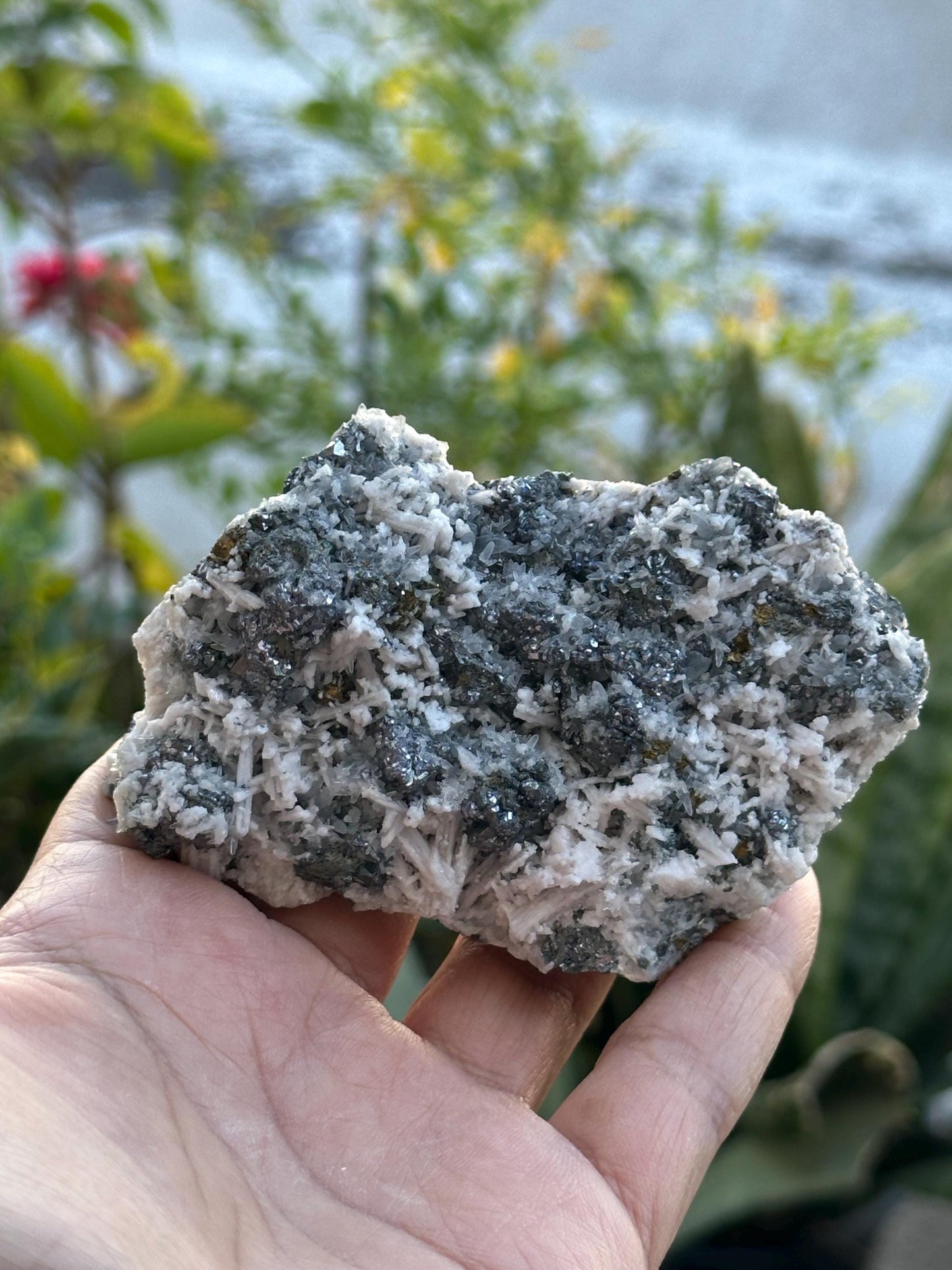 Rhodochrosite and Galena on Sphalerite and Pyrite Matrix from Peru