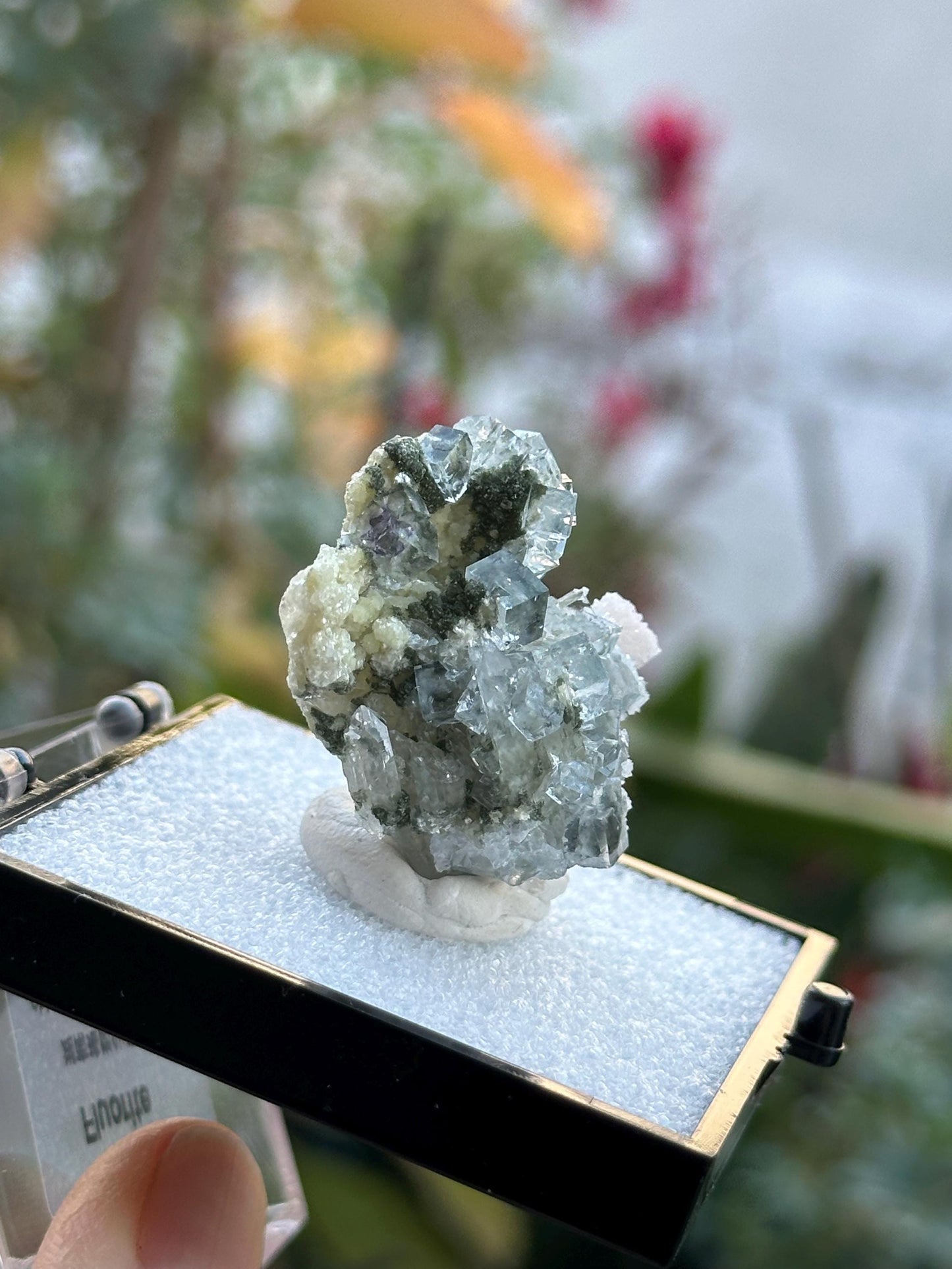 Fluorite Specimen from the Yaogangxian Mine