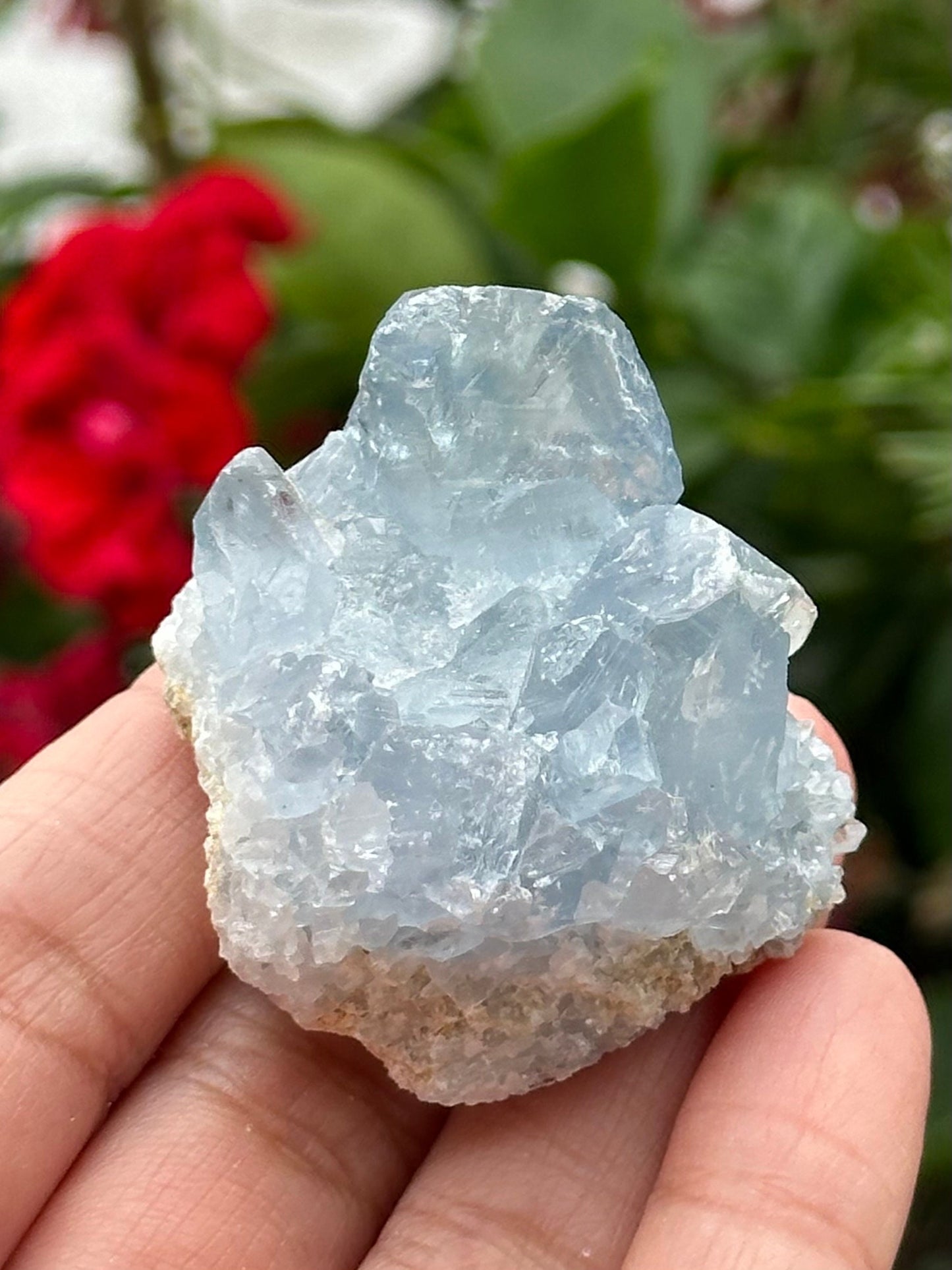 Celestite Cluster from Madagascar