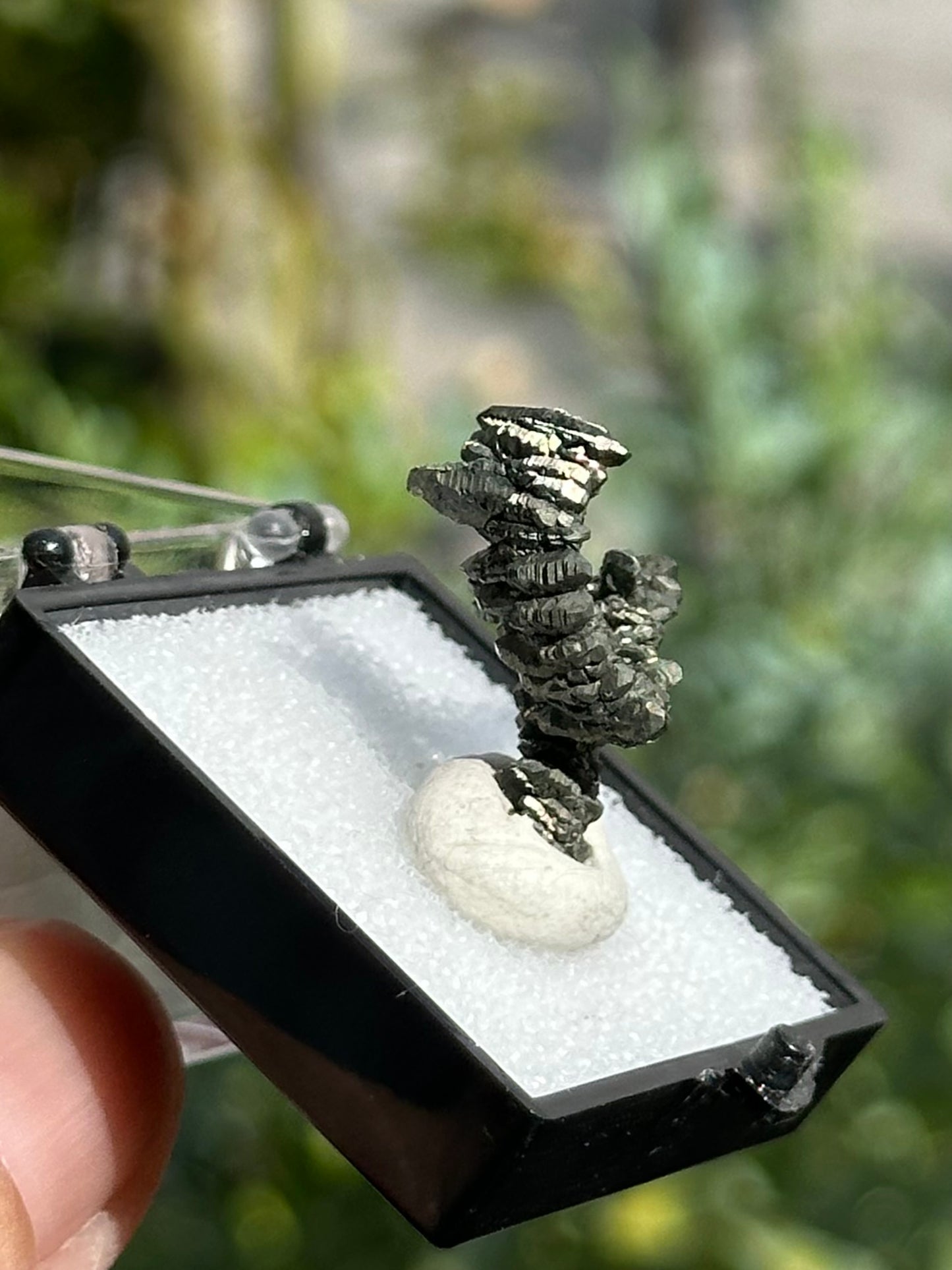 Marcasite Specimen from the Linwood Mine