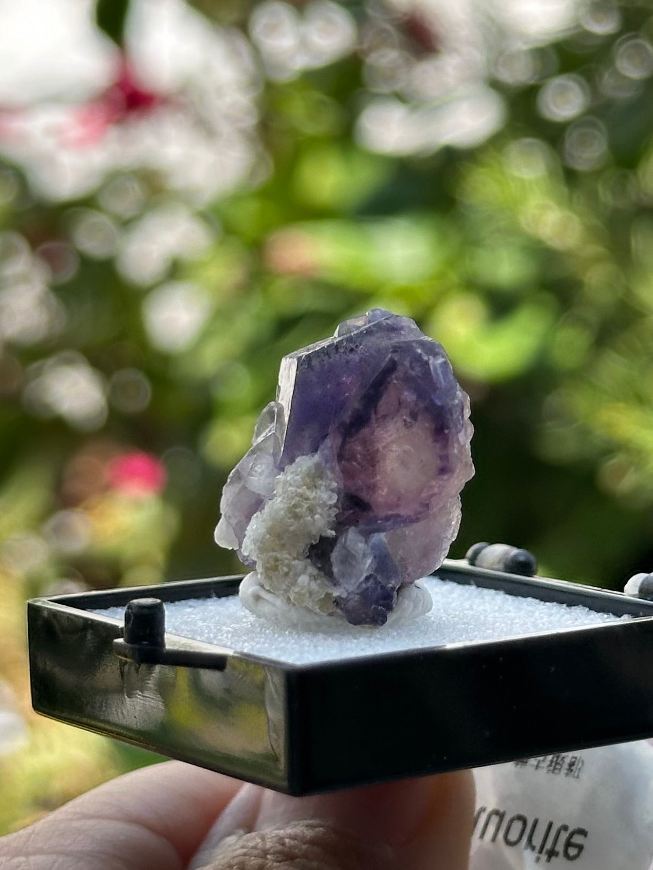 Yindu Fluorite in a perky box from Inner Mongolia, China