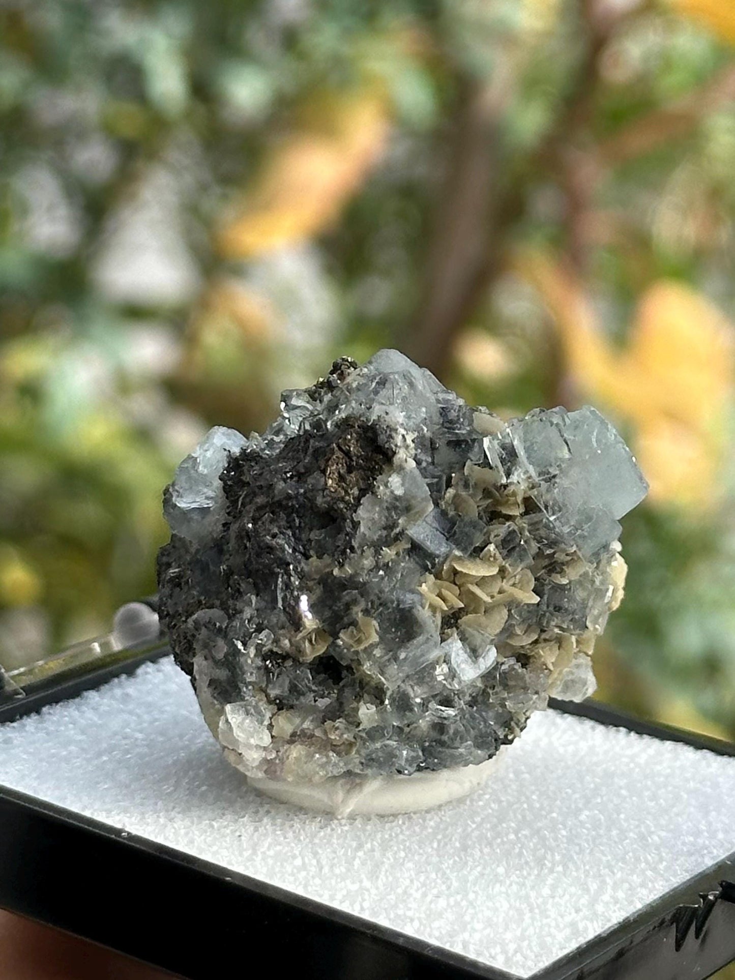 Yindu Fluorite with Calcite Specimen, in a perky box, from the Yindu Mine in Inner Mongolia, China - UV Reactive