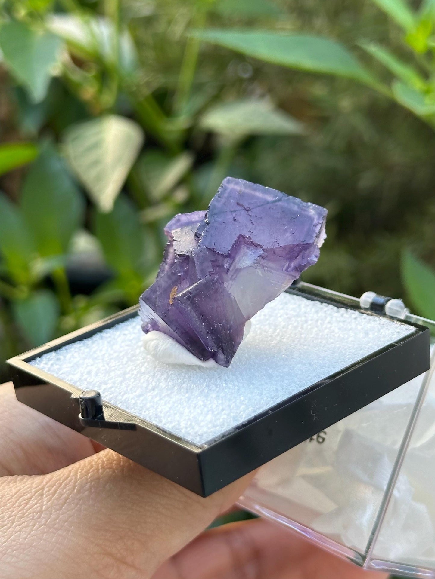 QR Code Fluorite from the Quinlong Mine, Guizhou, China