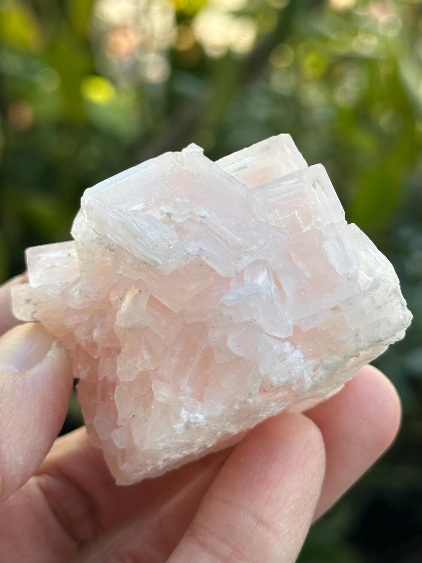 Light Pink Halite from Searles Lake, California