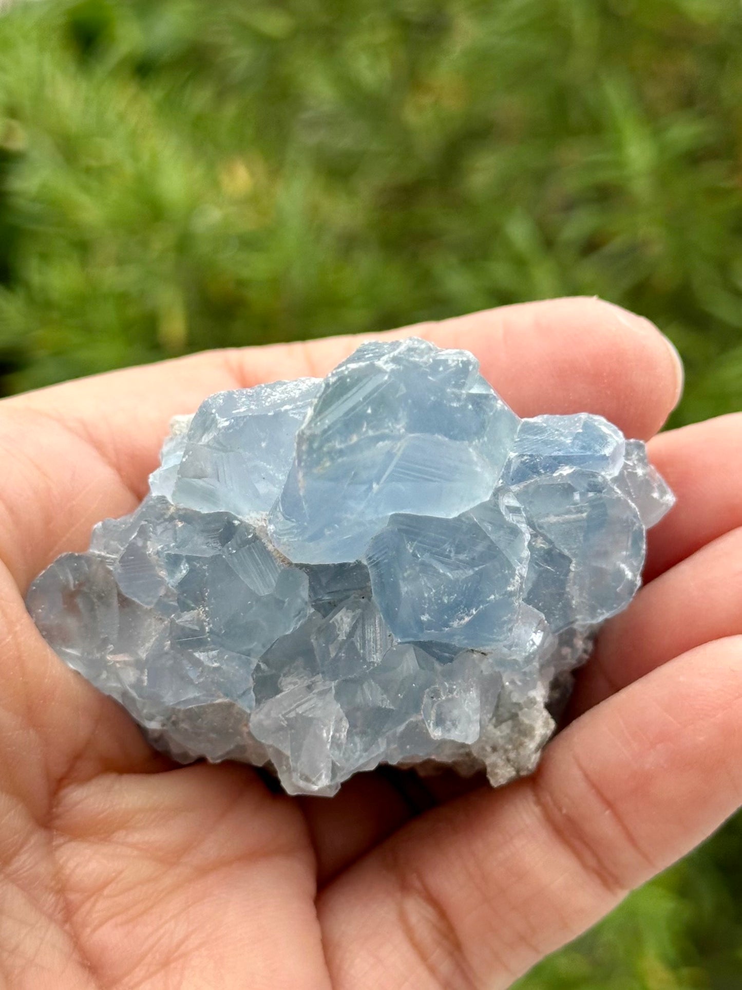 Celestite Cluster