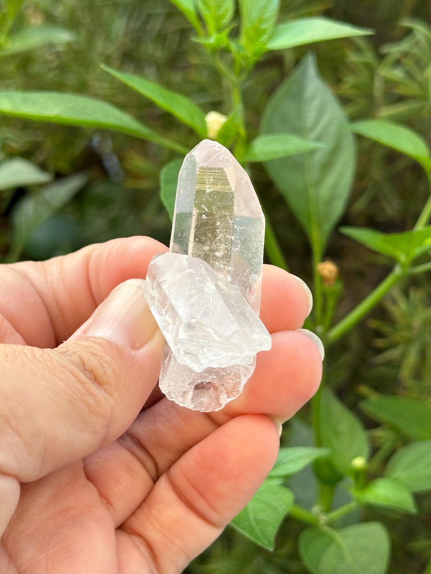 Small Clear Quartz Cluster
