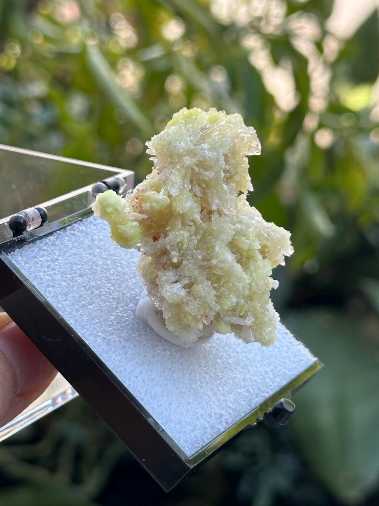 Creedite with Selenite in a perky box from Guizhou, Dachang, China