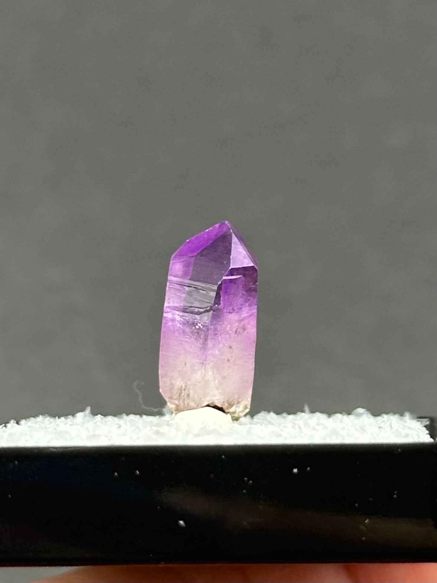 Veracruz Amethyst in a perky box