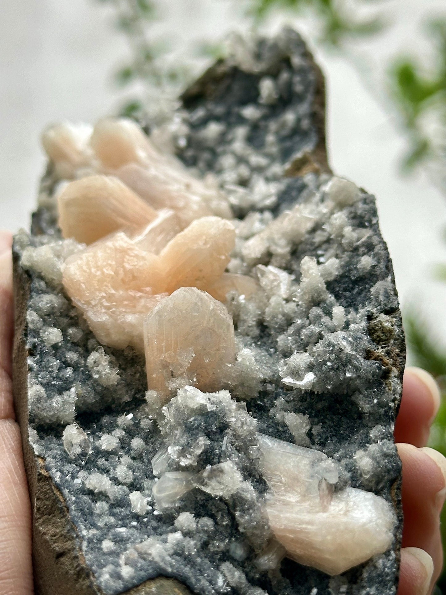 Stilbite with Chalcedony