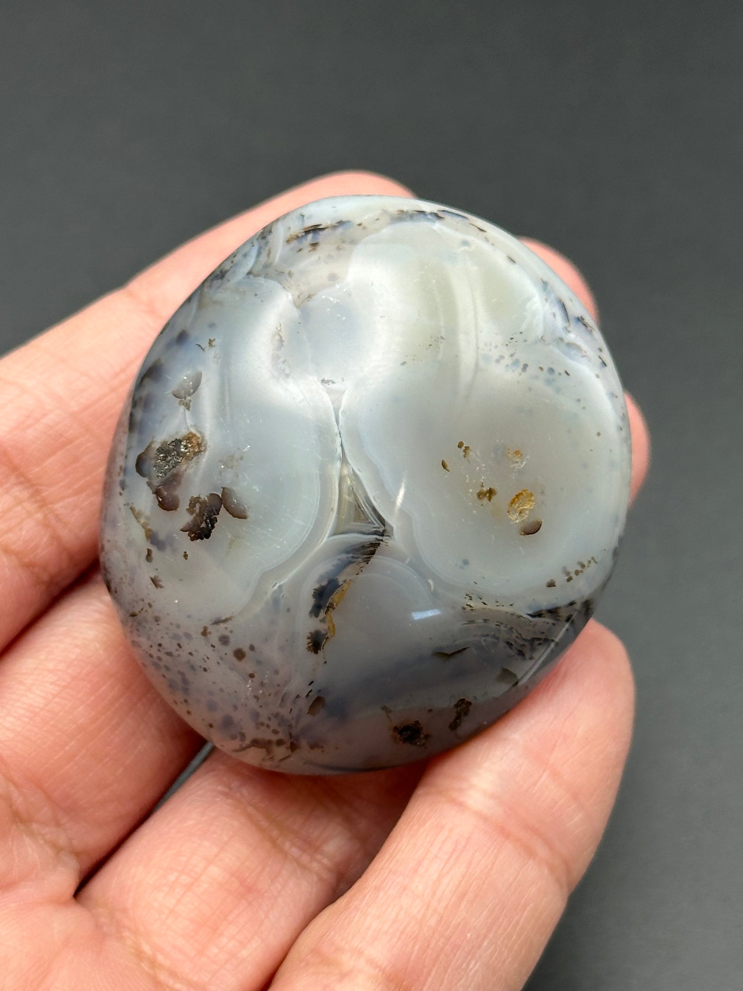 Dendritic Agate Palm Stone