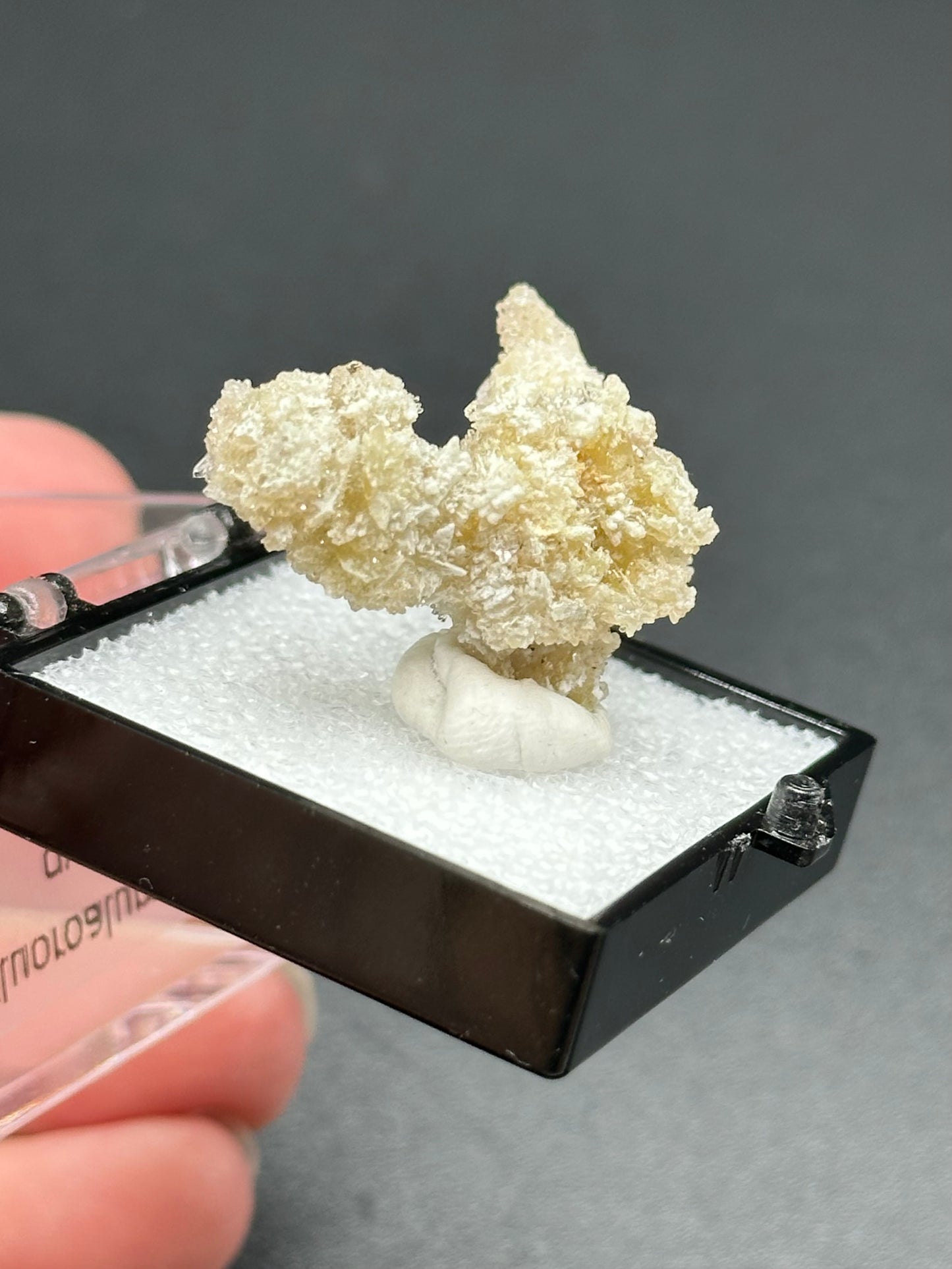 Fluoroaluminate Gypsum in a perky box from Guizhou Dachang, China