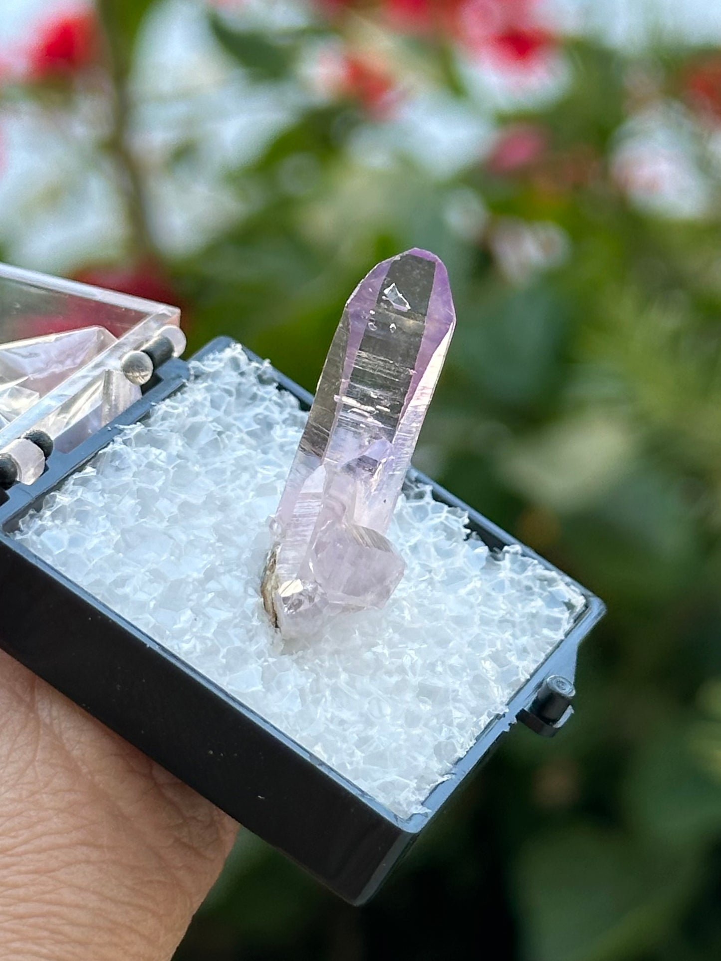 Veracruz Amethyst