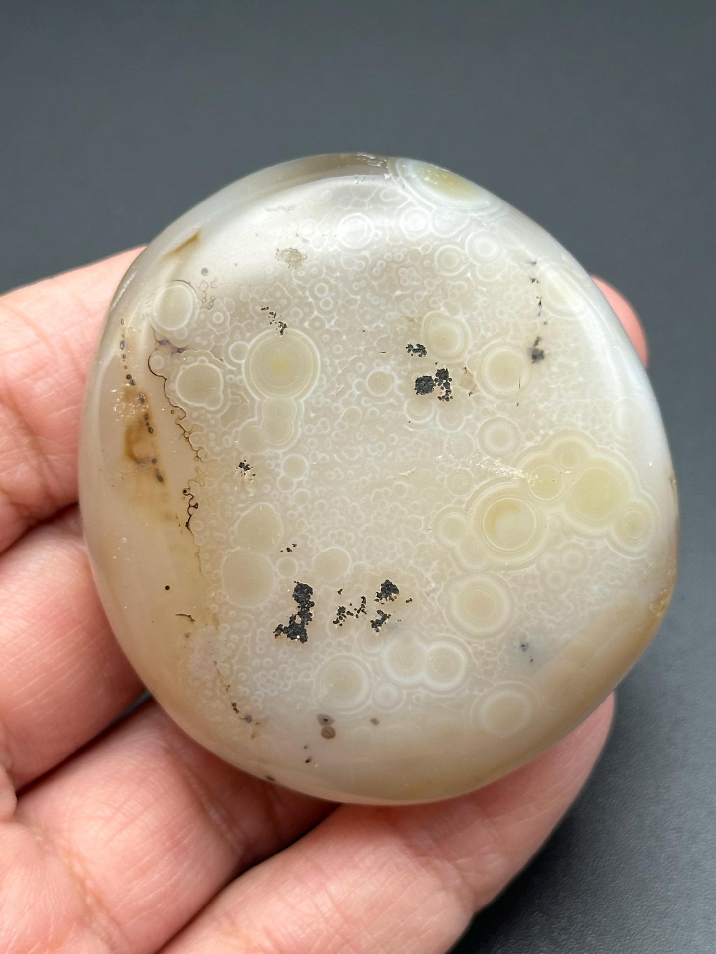 Dendritic Agate Palm Stone