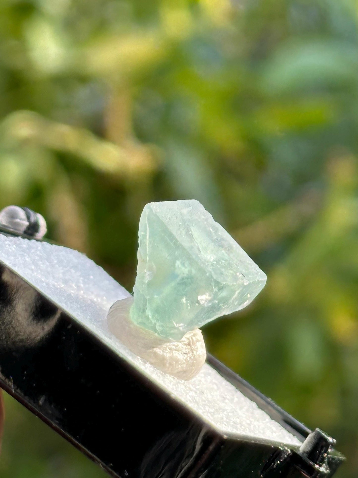 Fluorite with Quartz from the Yaogangxian Mine