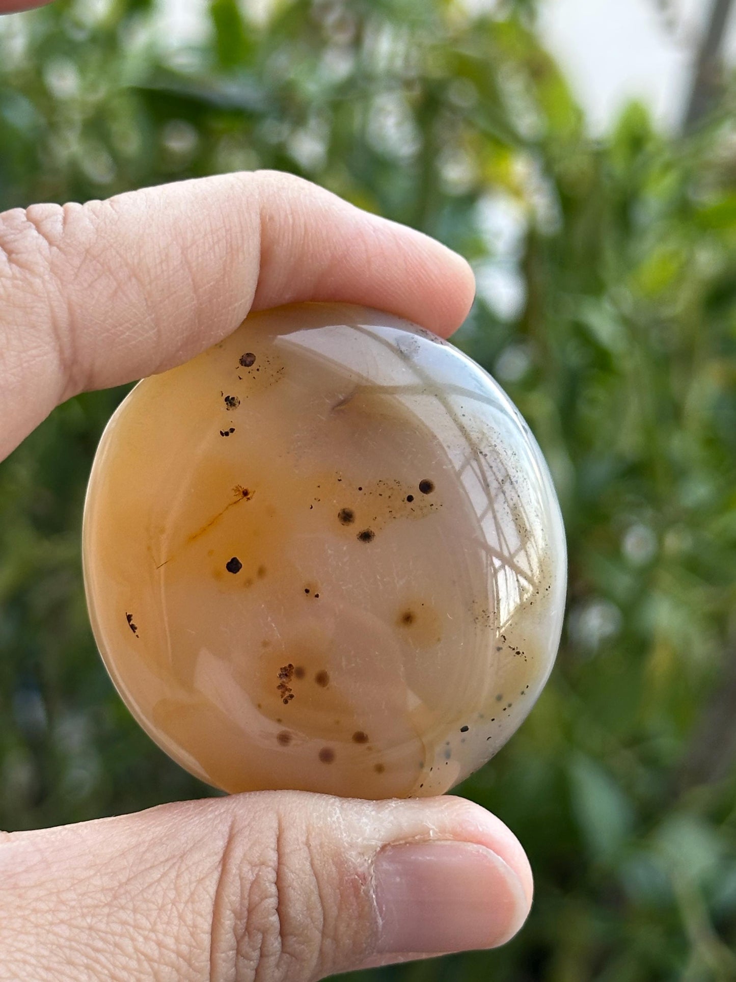 Dendritic Agate Palm Stone