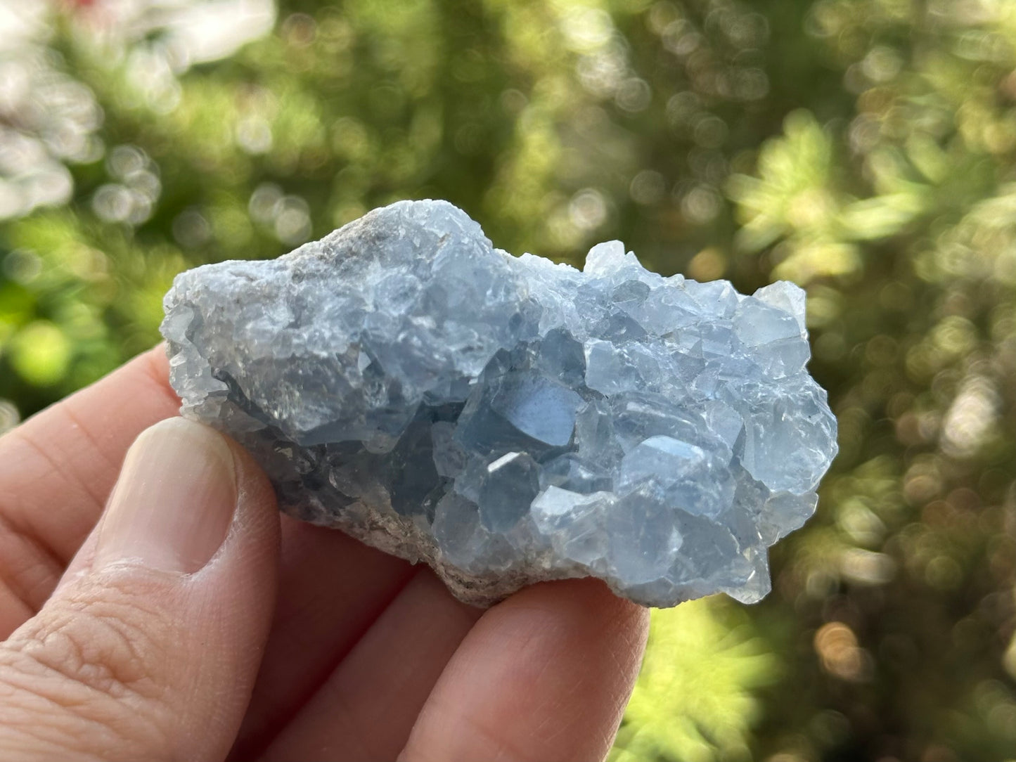 Celestite Cluster from Madagascar