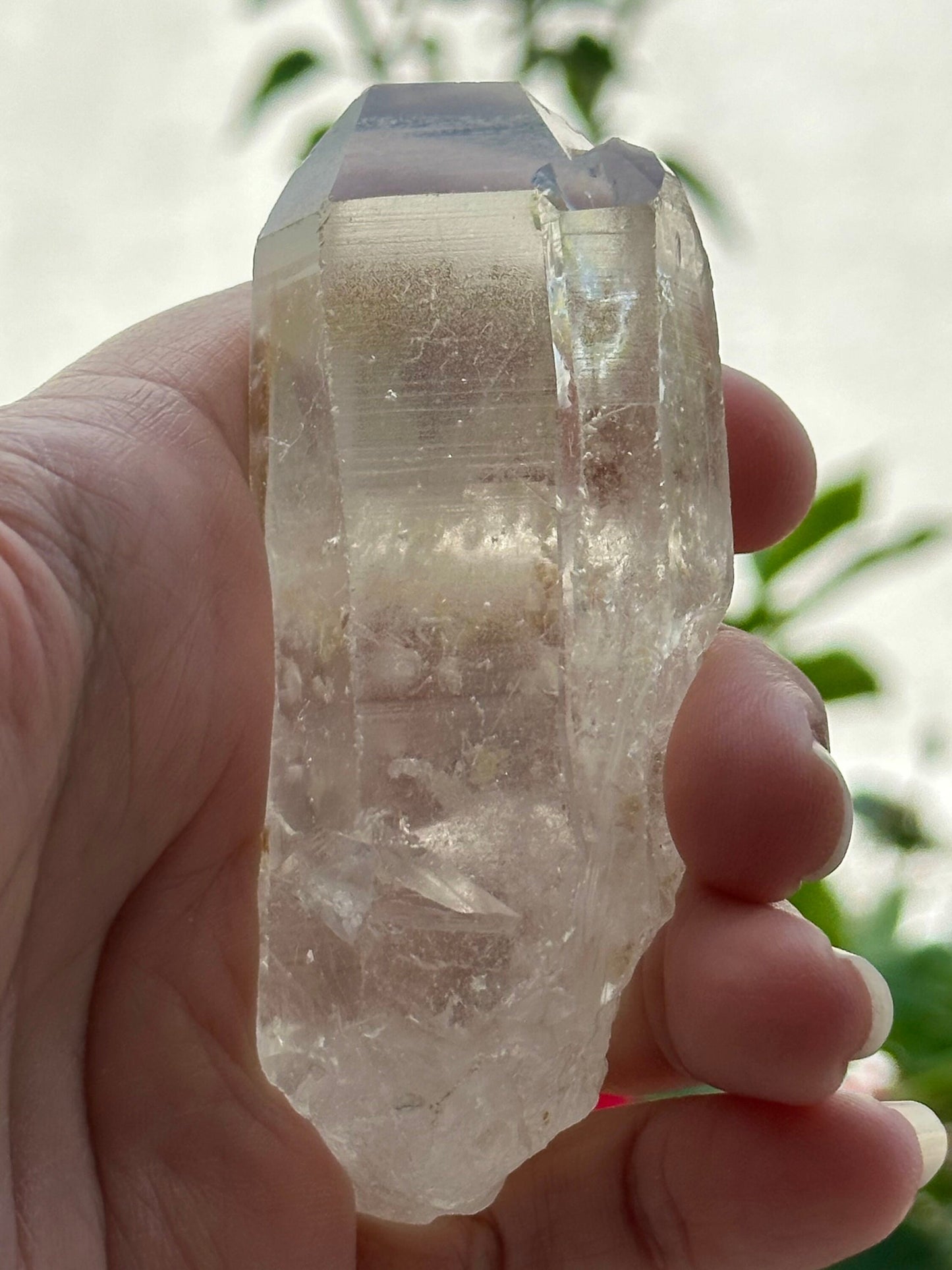 Lemurian Quartz