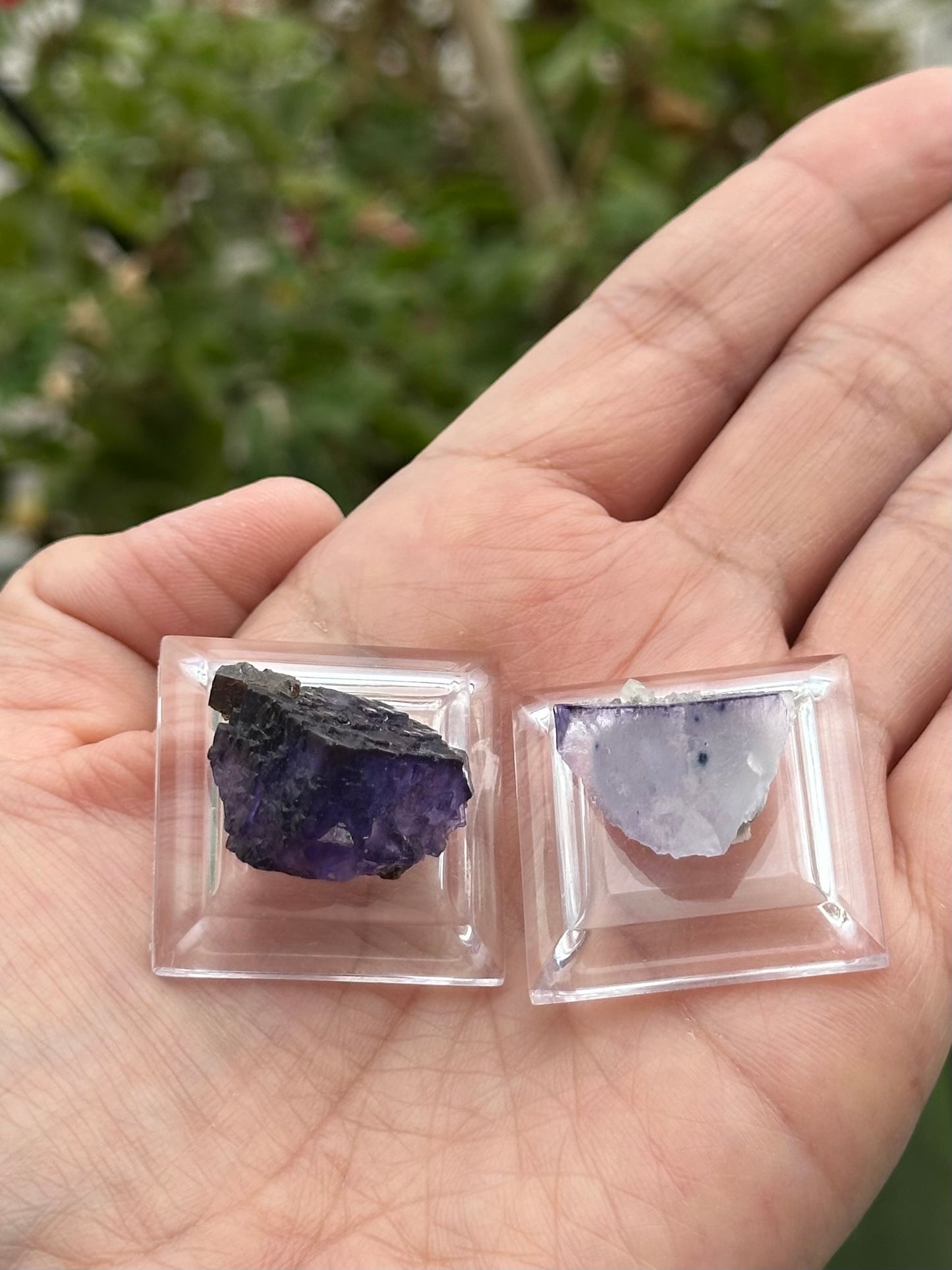 2 Fluorites from the Elmwood Mine on Stands