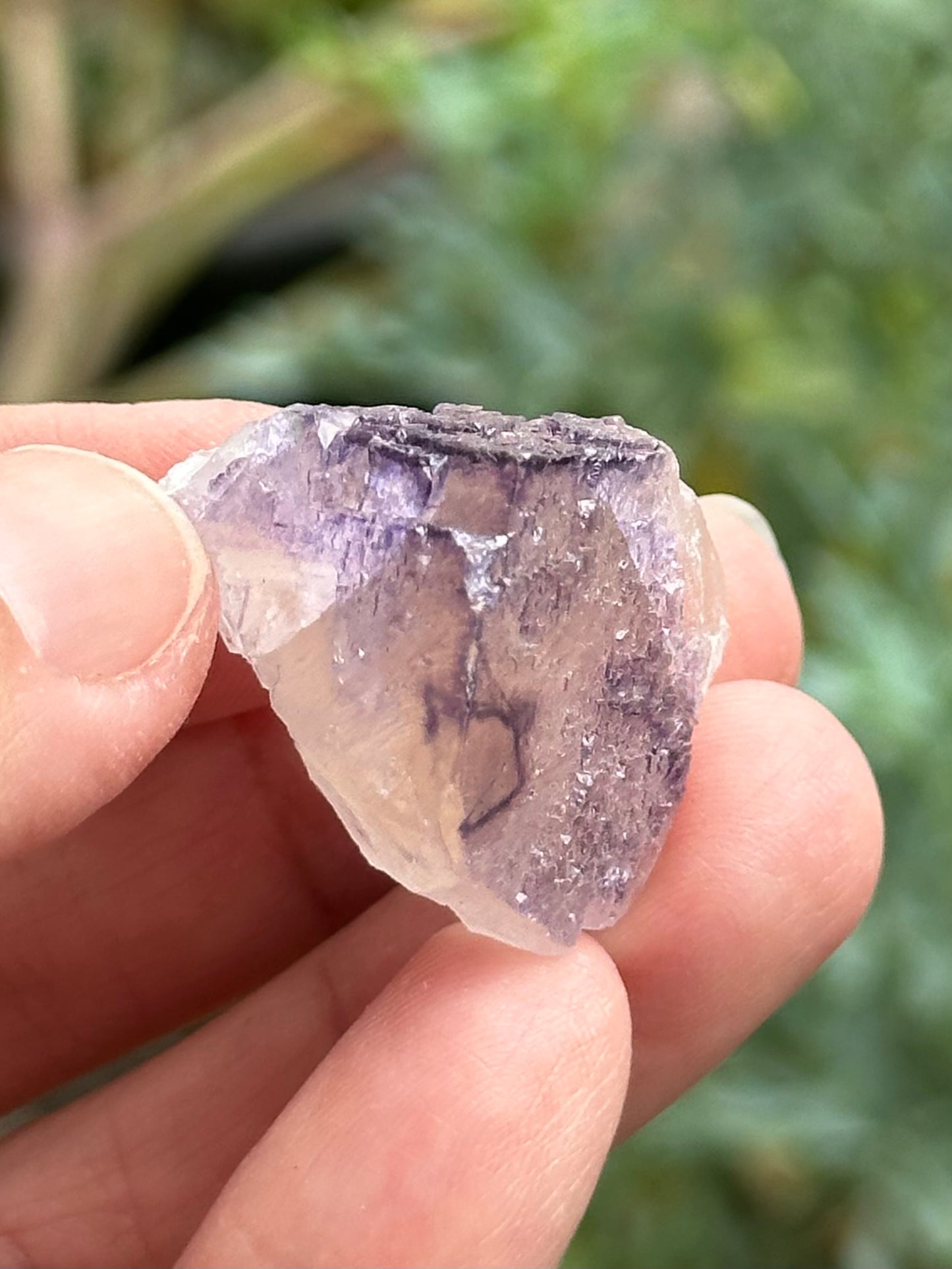 Fluorite from the Elmwood Mine