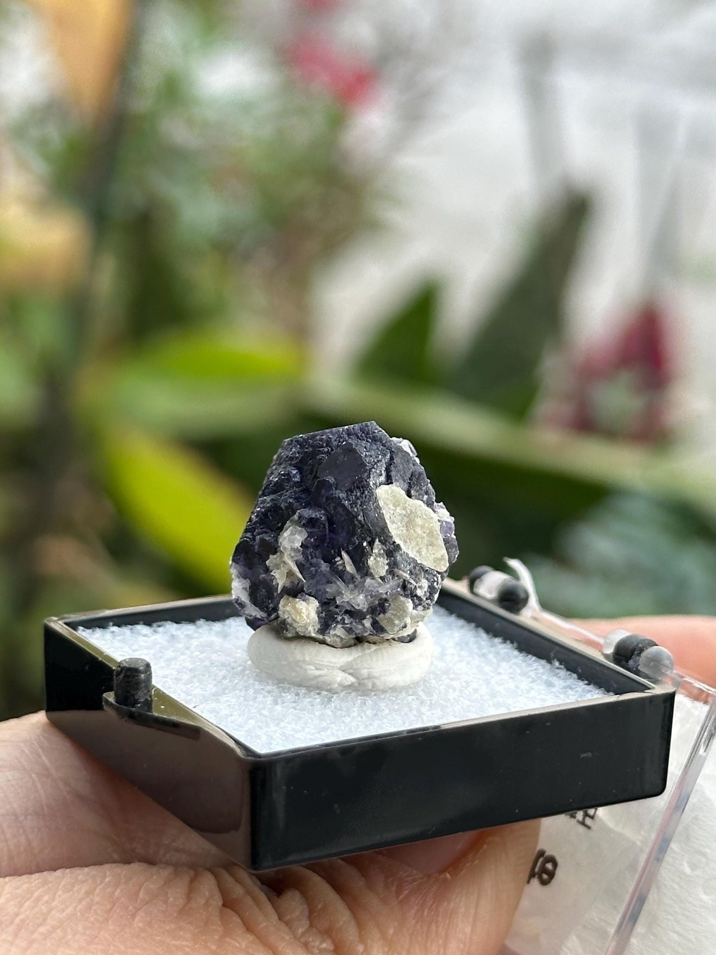 Yindu Fluorite from the Yindu Mine, Inner Mongolia, China