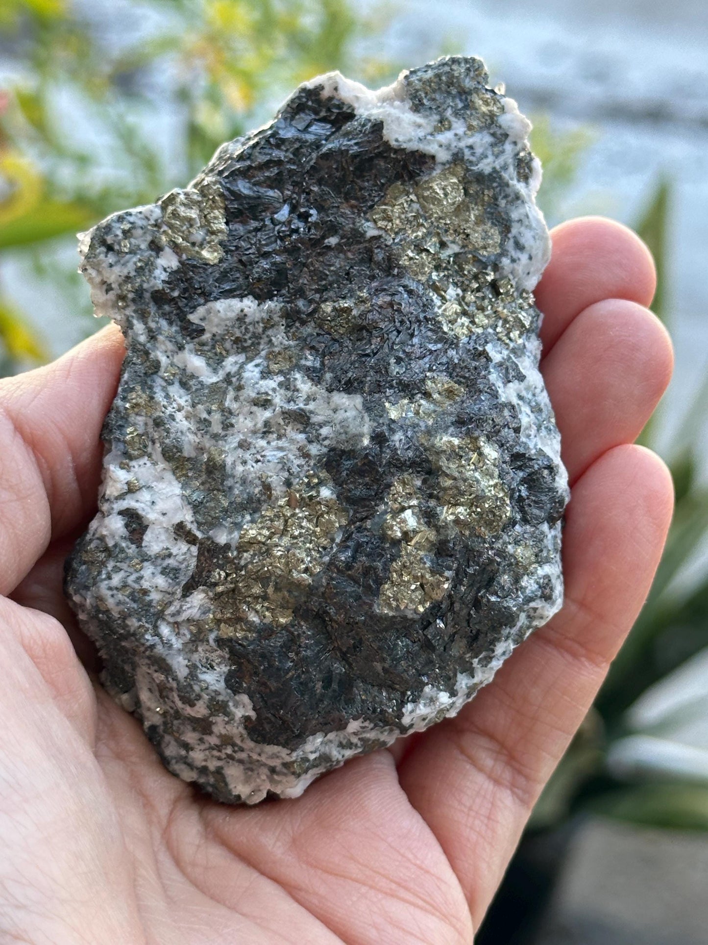 Rhodochrosite and Galena on Sphalerite and Pyrite Matrix from Peru