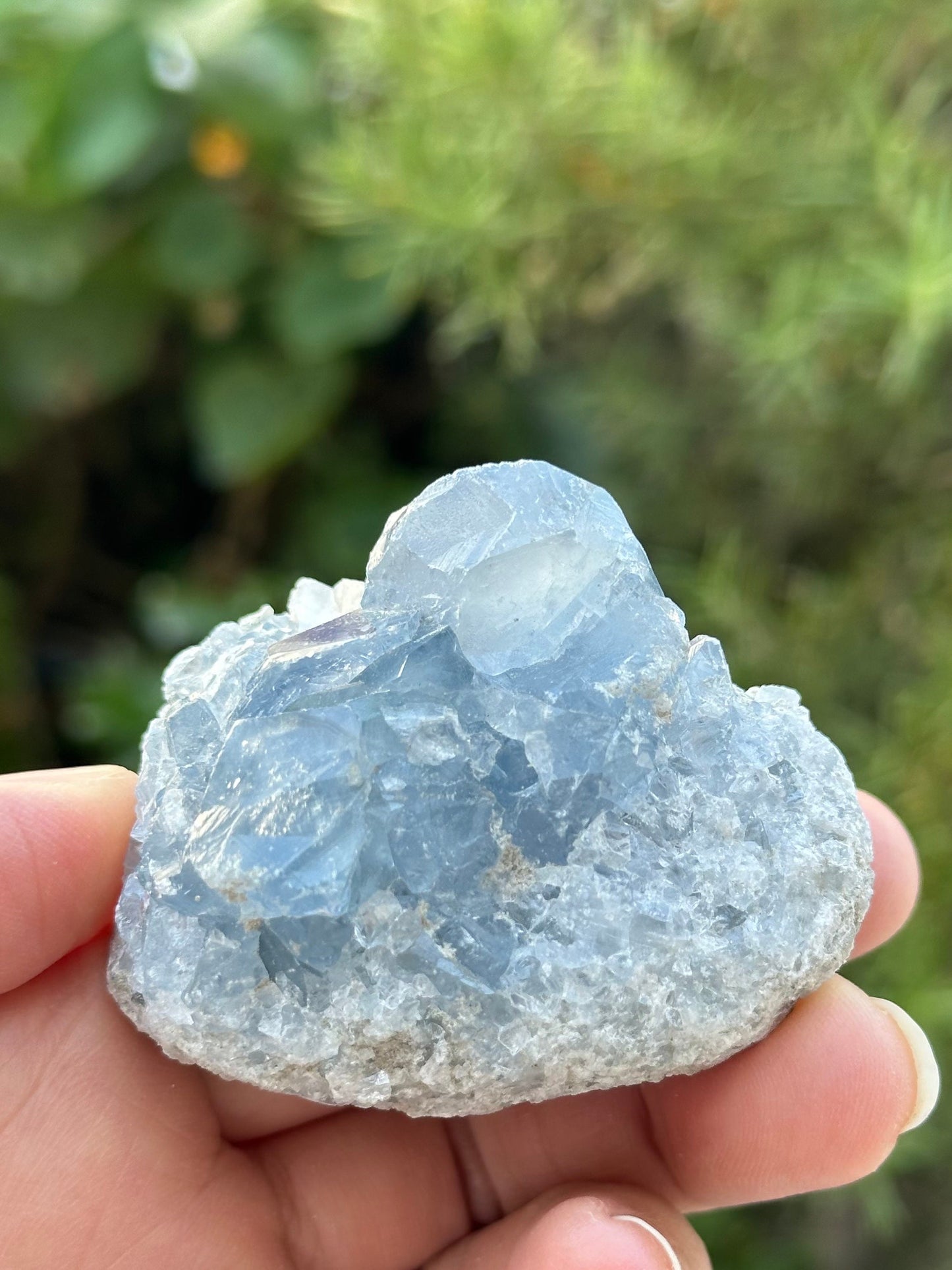 Celestite Cluster from Madagascar