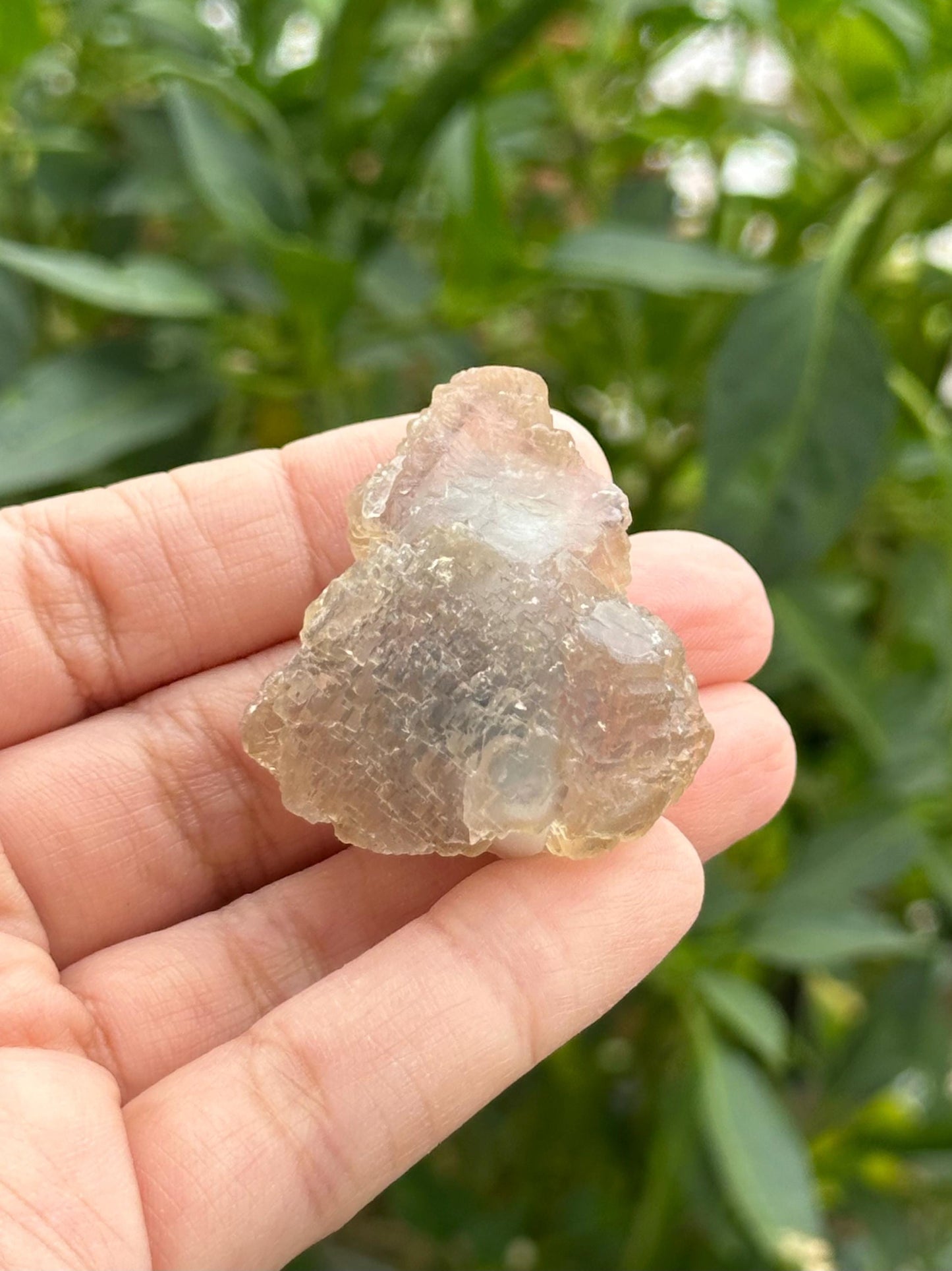 Fluorite Specimen-UV Reactive