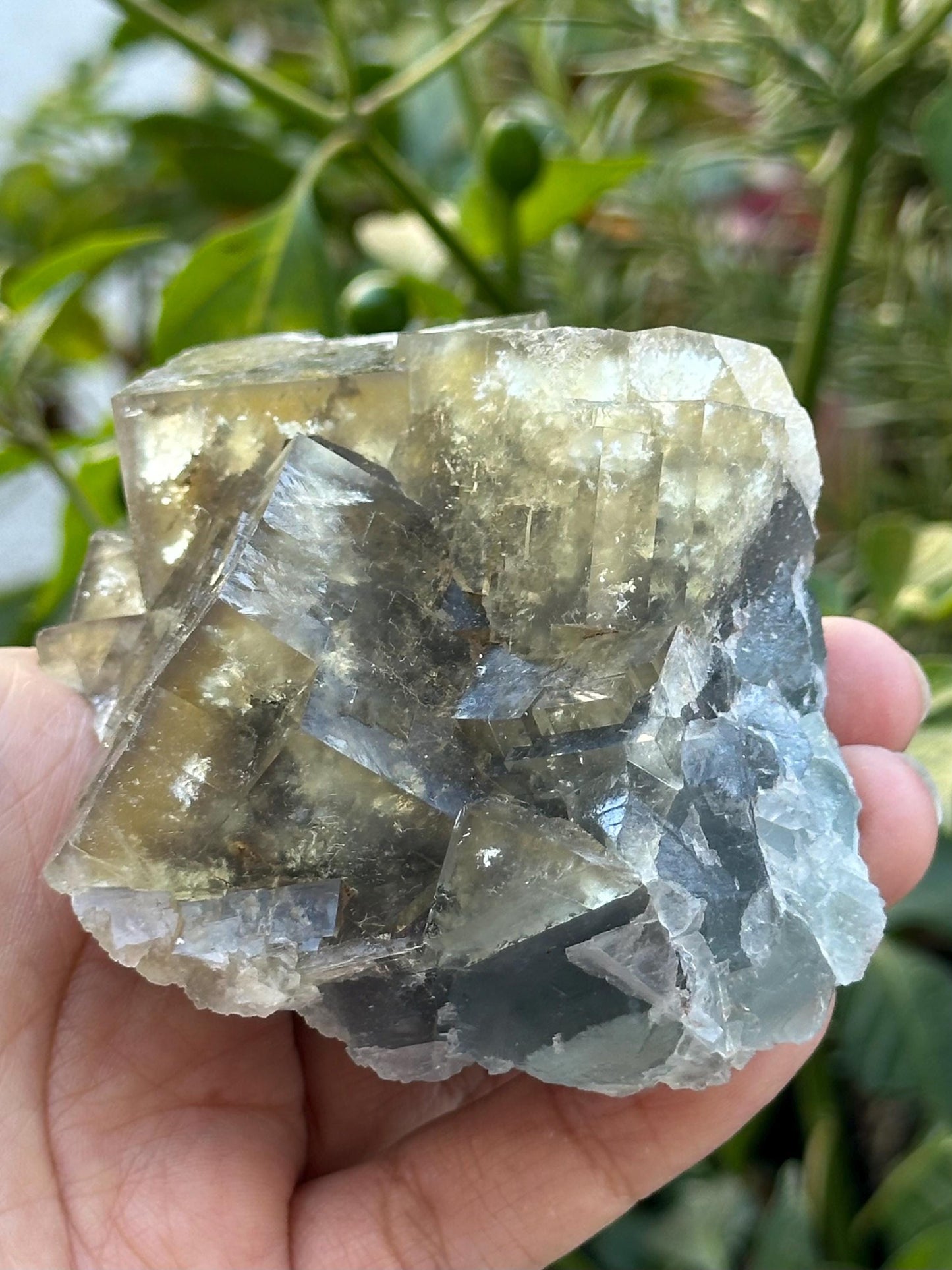 Yellow and Blue Fluorite from Beijing