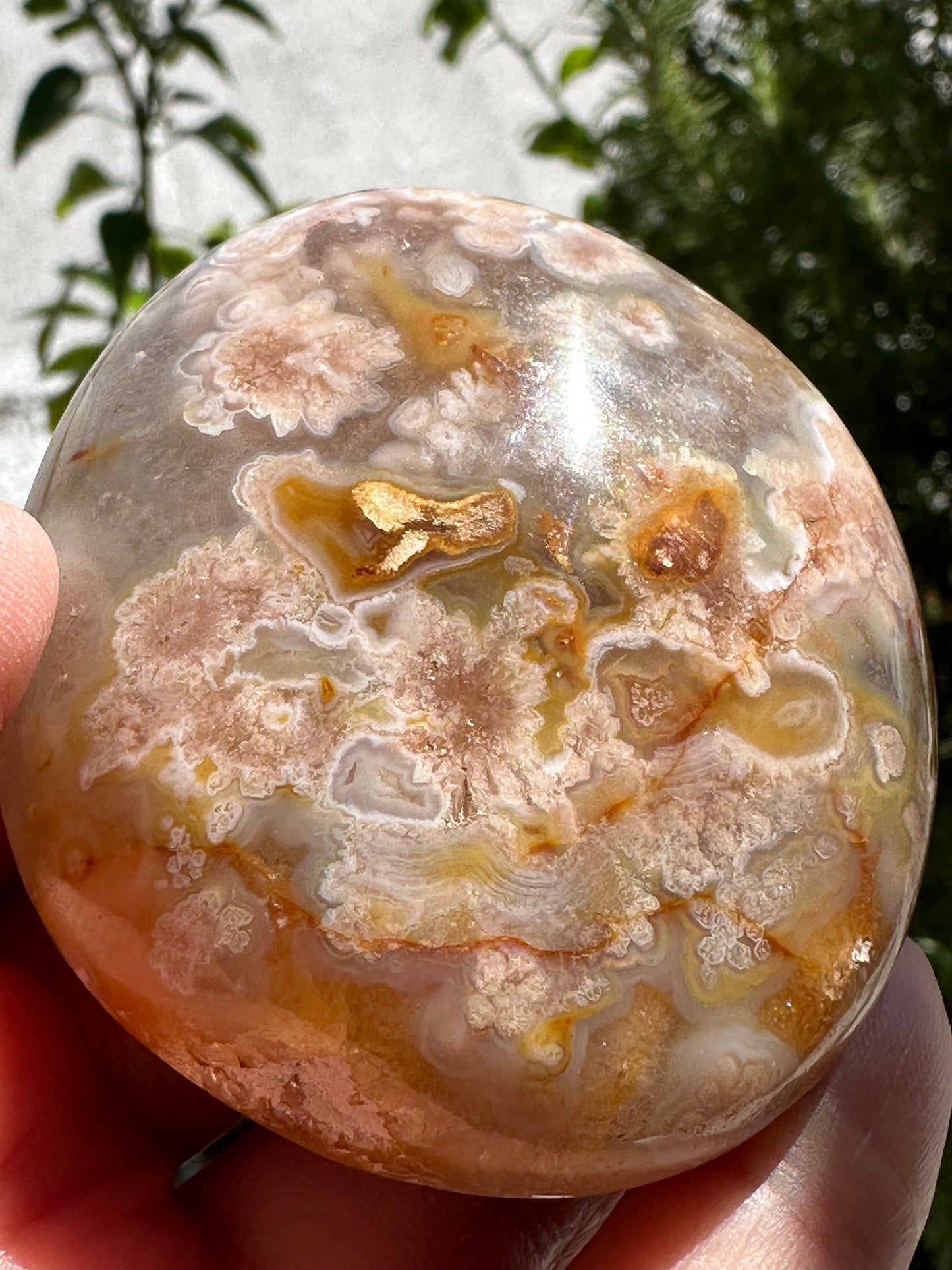 Flower Agate Palm Stone