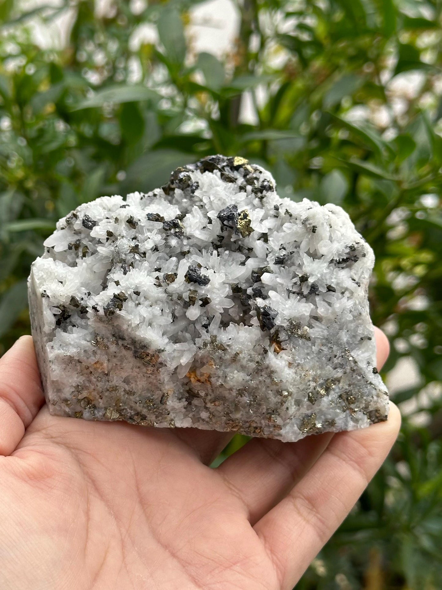 Chalcopyrite with Quartz