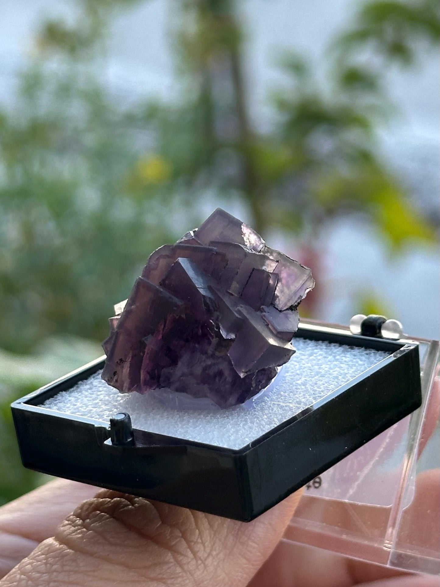Purple Fluorite from Anhui, China