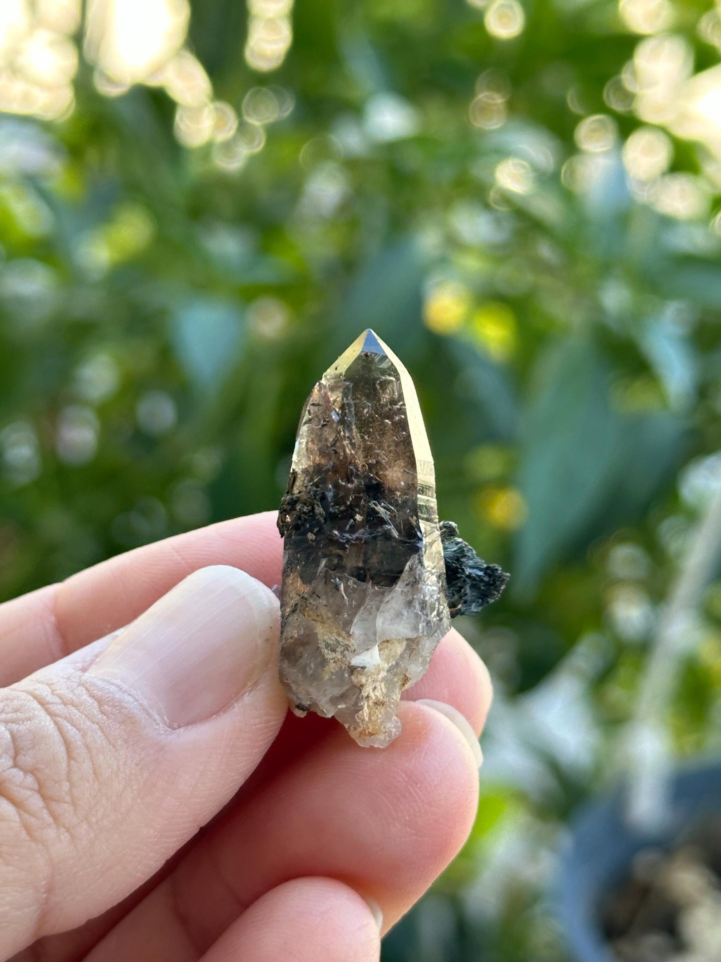 Smoky Quartz with Aegirine from Malawi