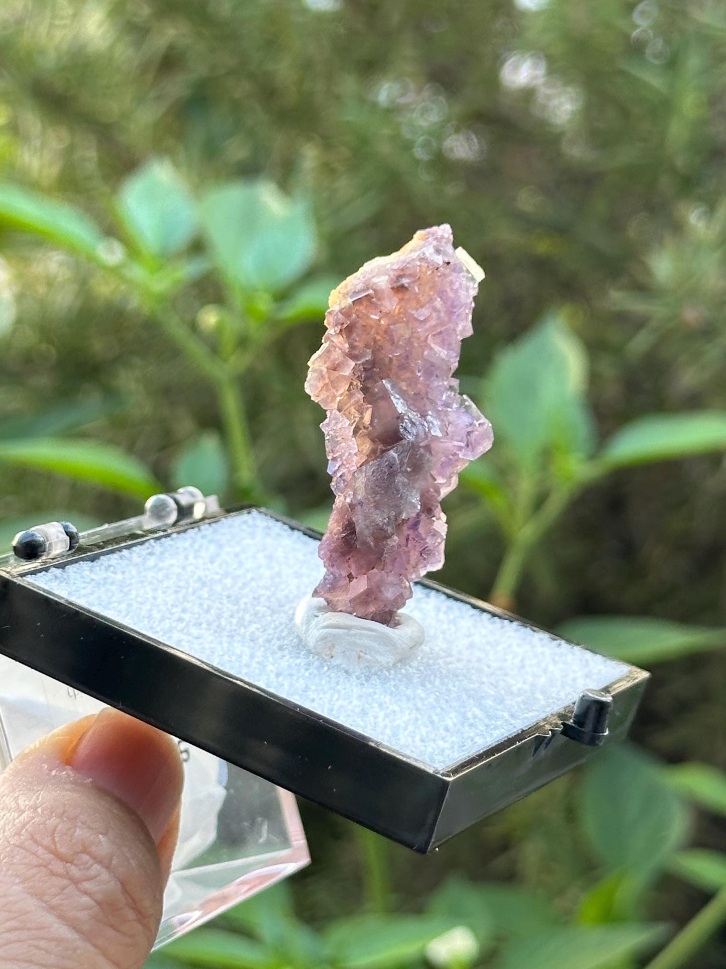 QR Code Fluorite in a perky box from the Quinlong Mine