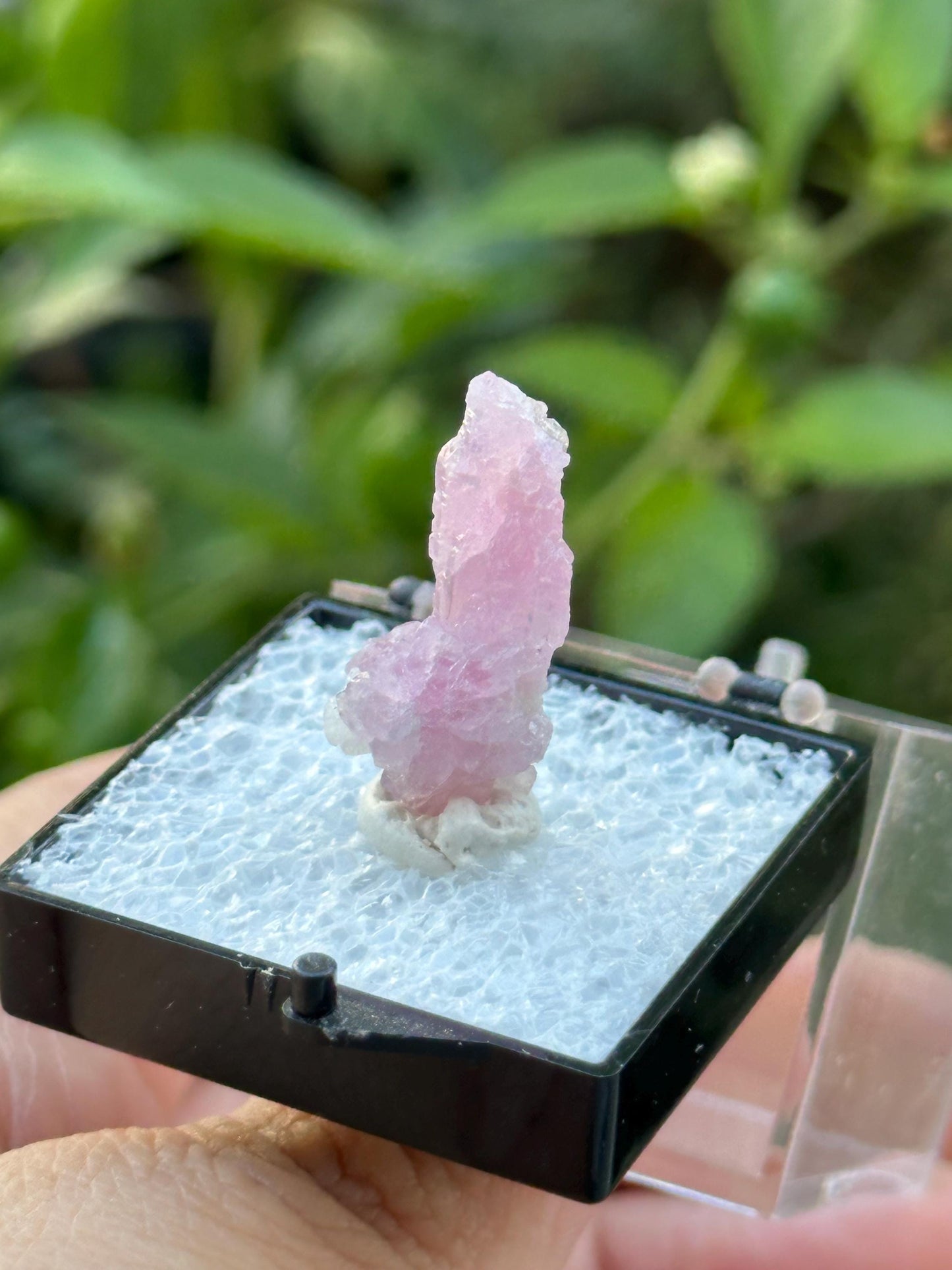 Crystallized Rose Quartz from Afghanistan