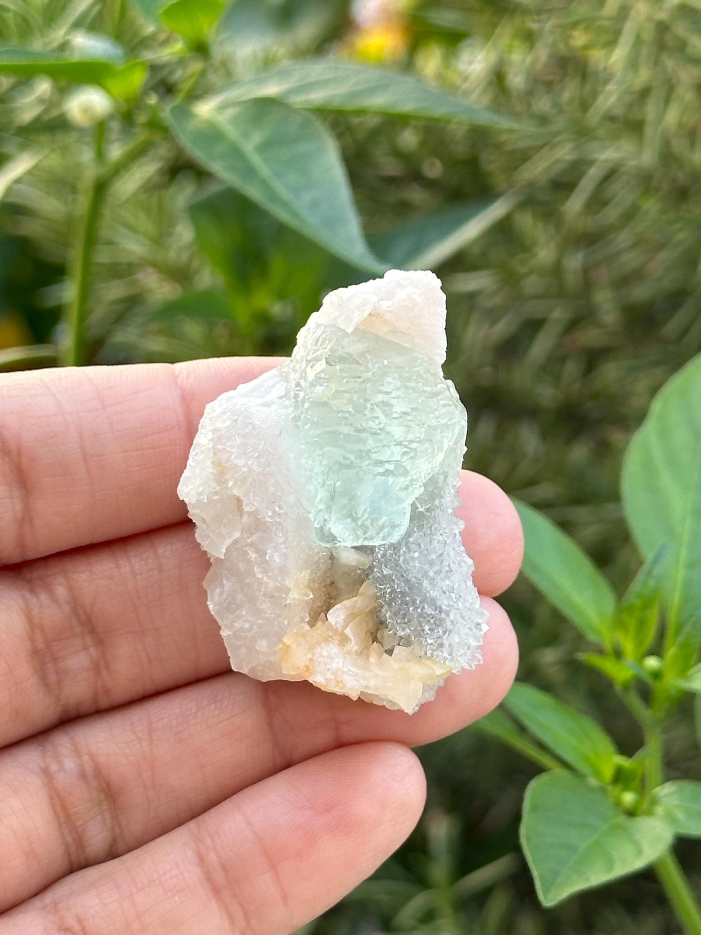 Fluorite Specimen from the Manaoshan Mine, Hunan, China