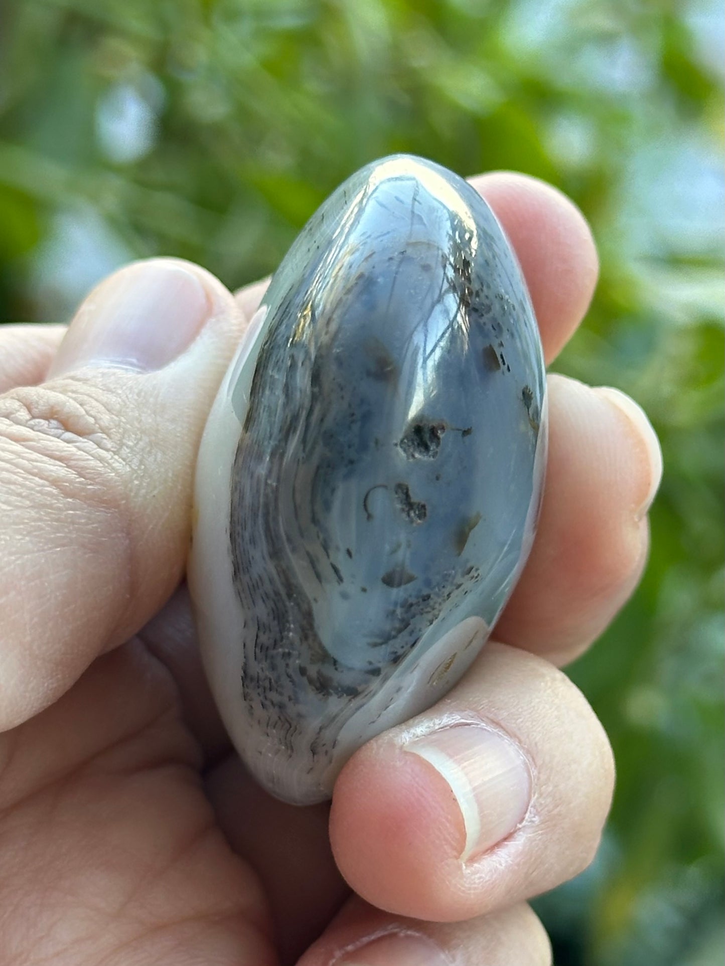 Dendritic Agate Palm Stone