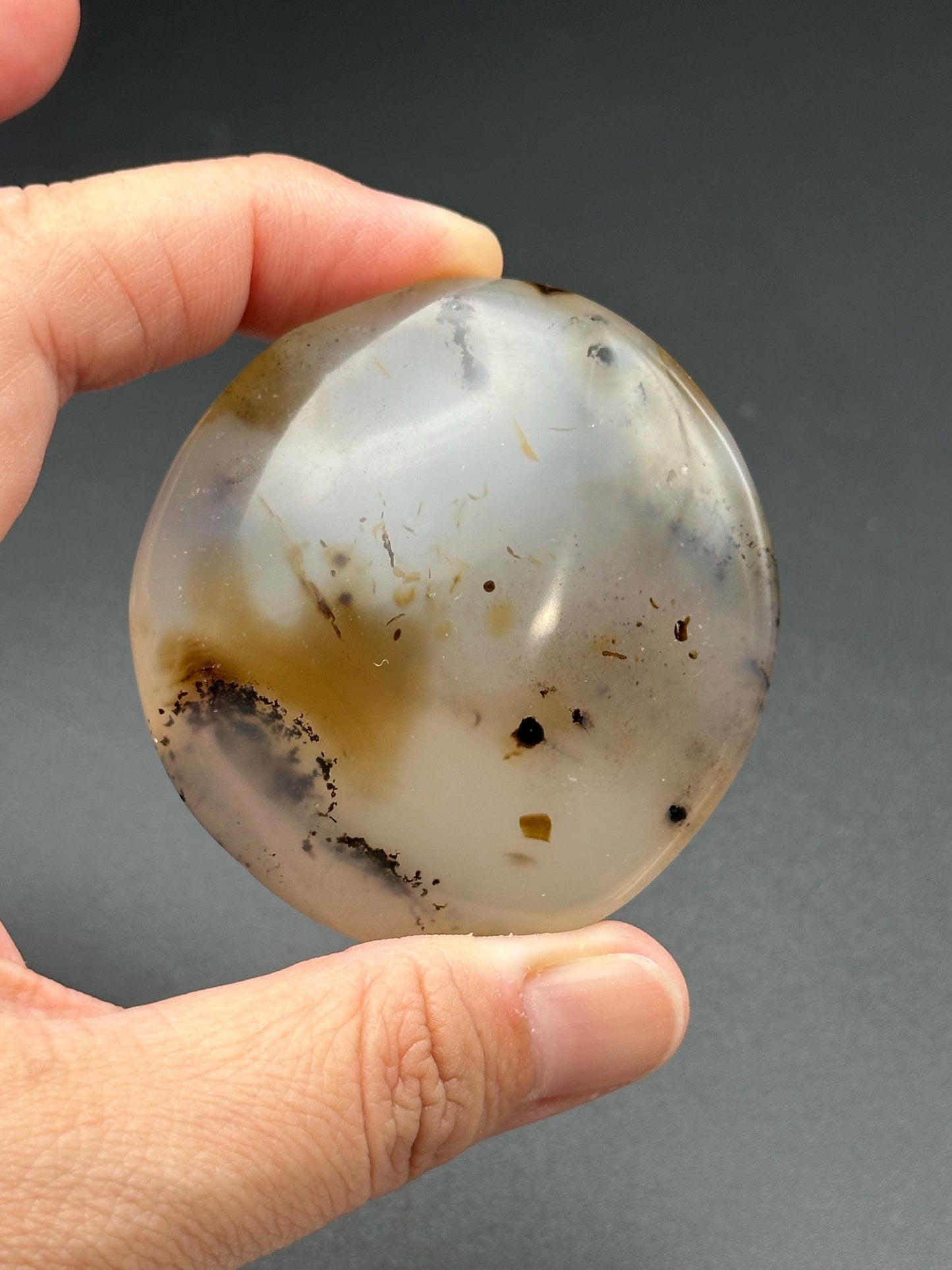 Dendritic Agate Palm Stone