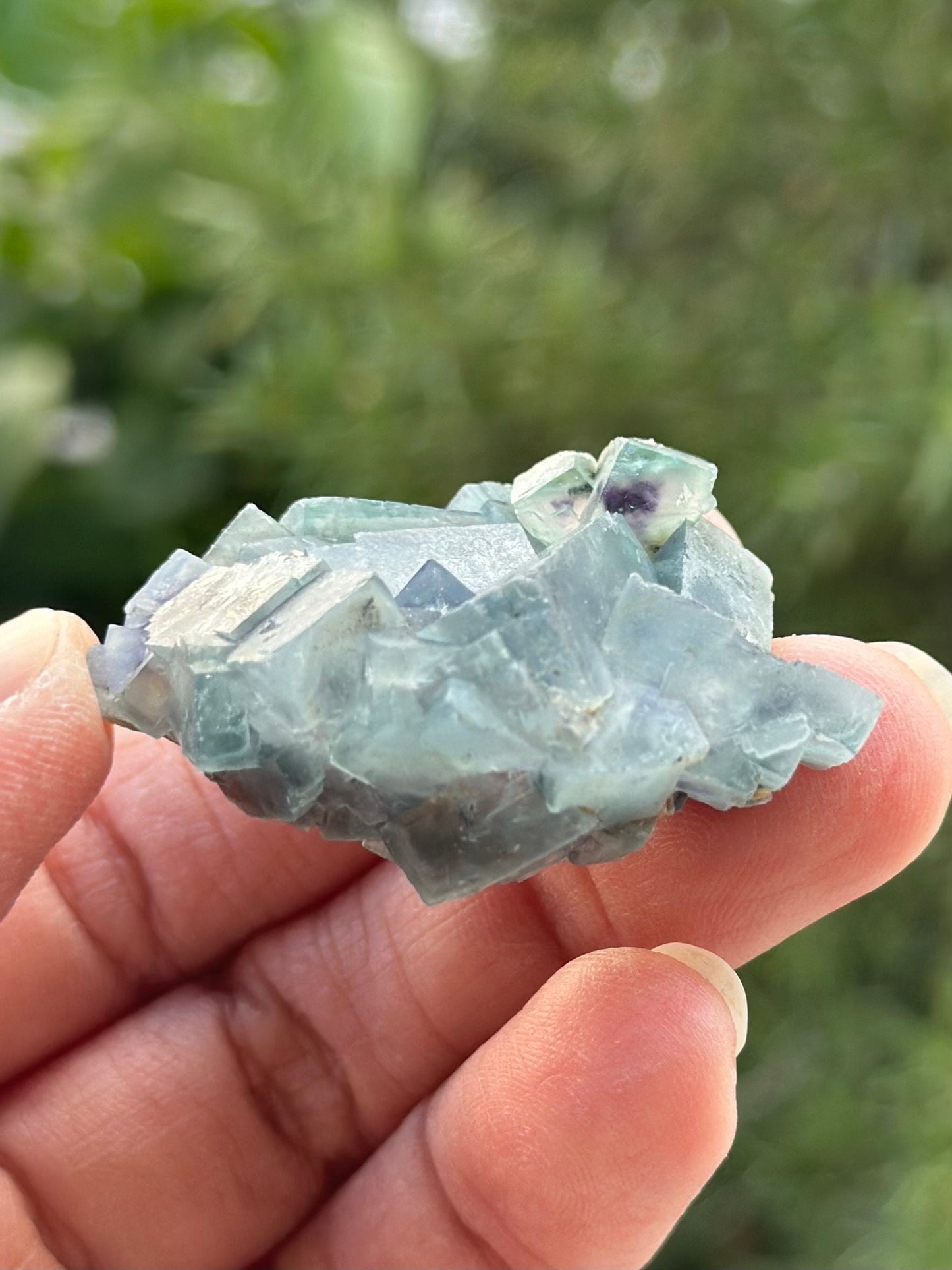 Fluorite in perky box from the Yindu Mine, Inner Mongolia, China