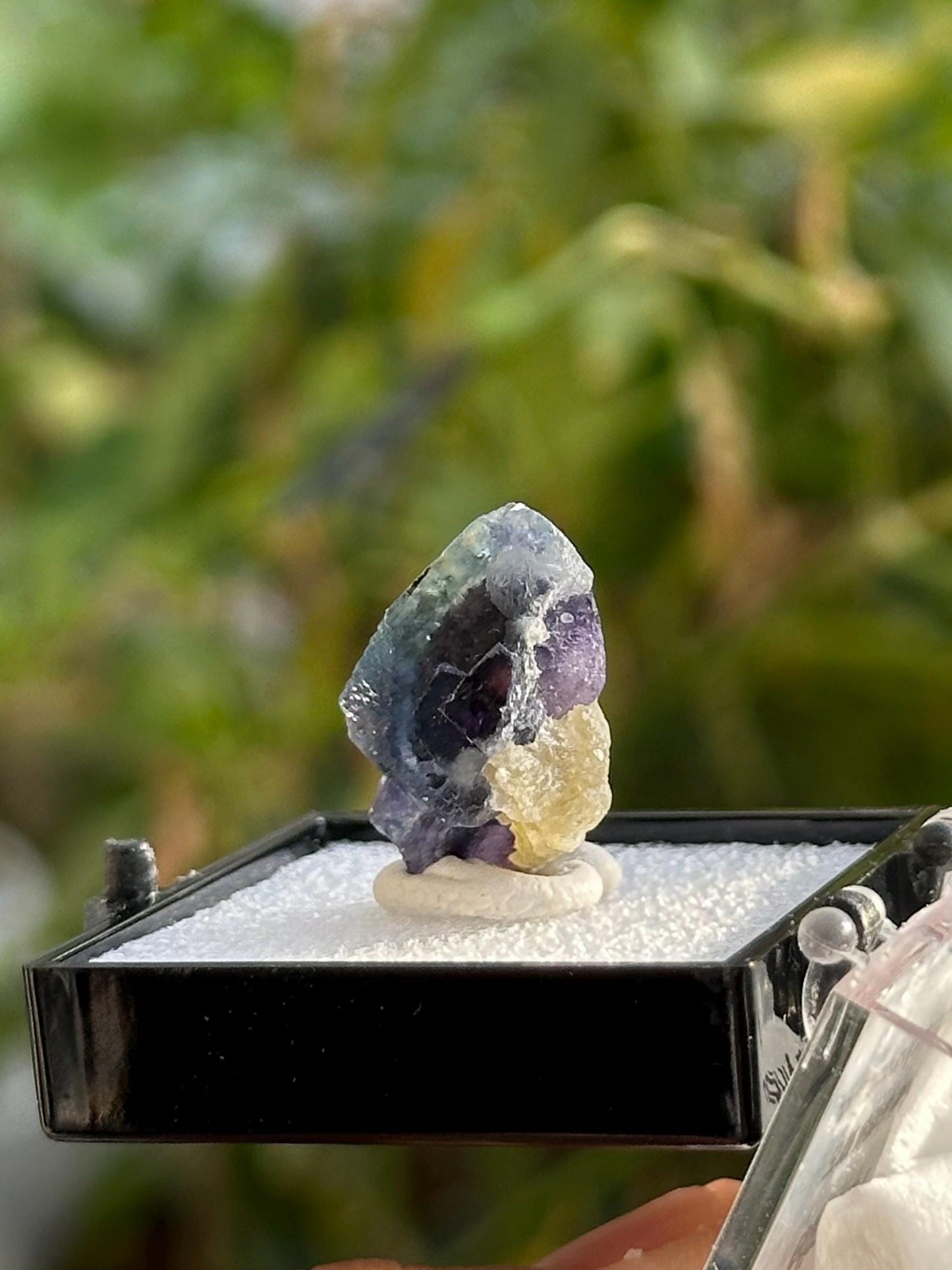 Fluorite from the Yindu Mine