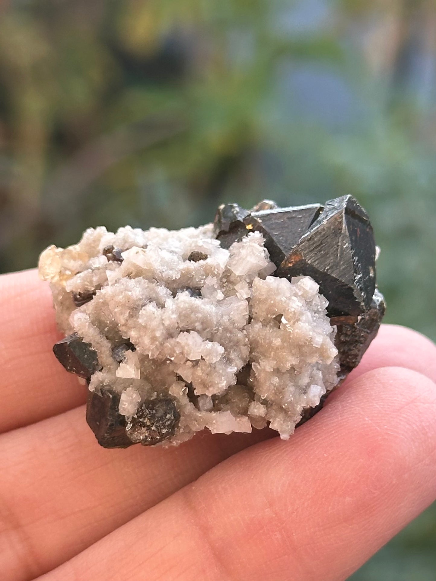 Dolomite and Sphalerite from the Elmwood Mine in Carthage, Tennessee