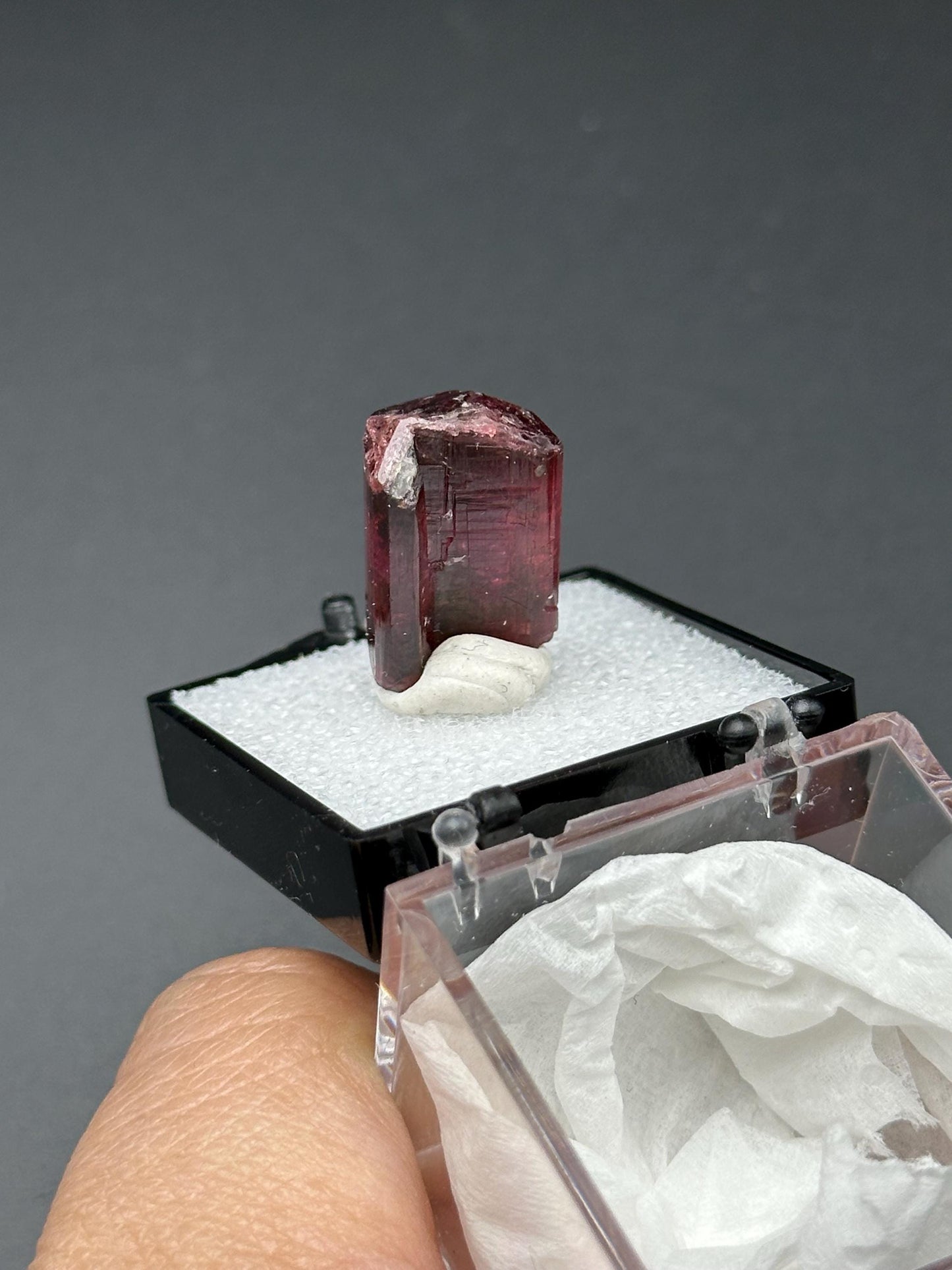 Tourmaline from Cruzeiro Mine