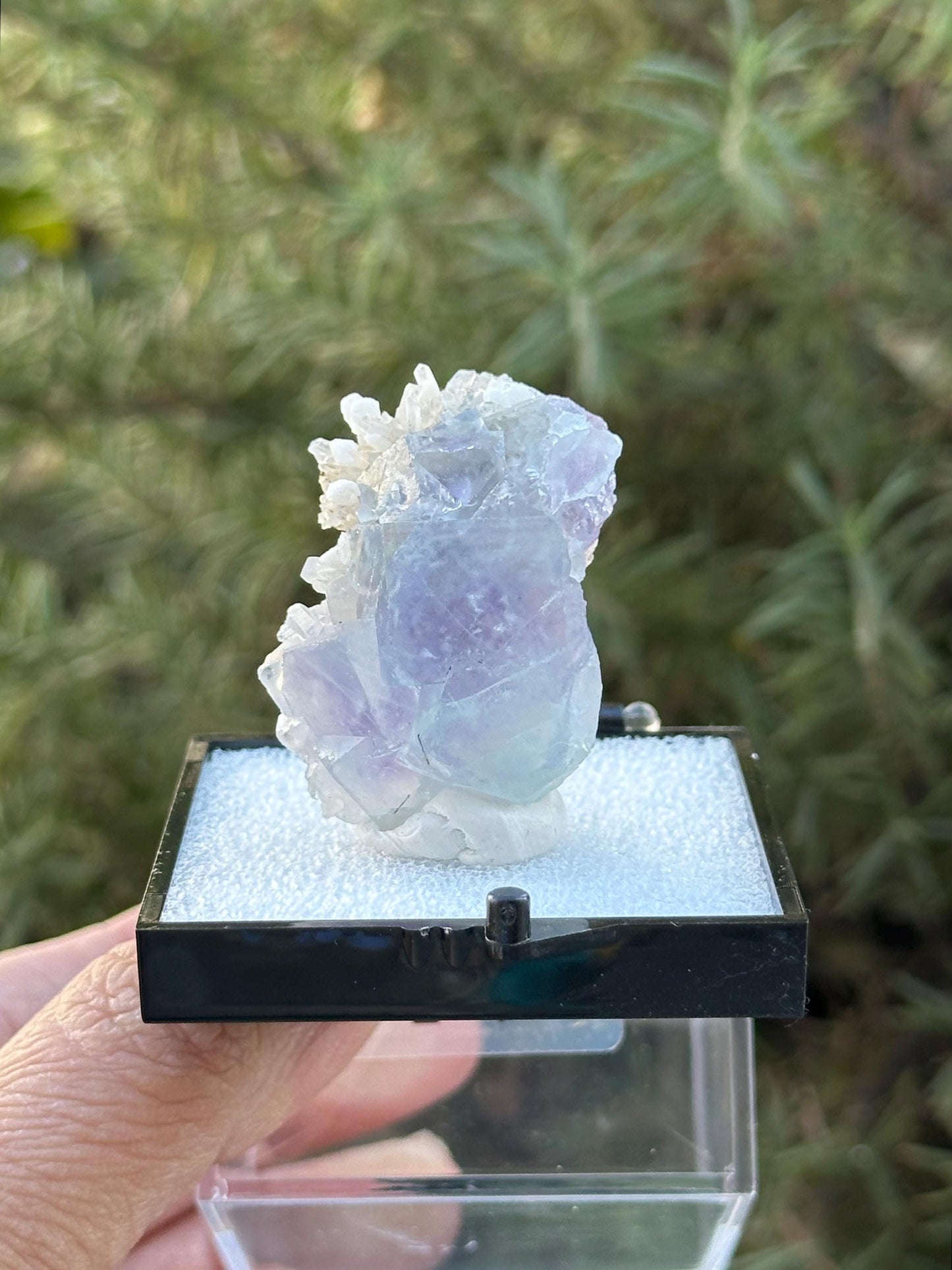 Yindu Fluorite