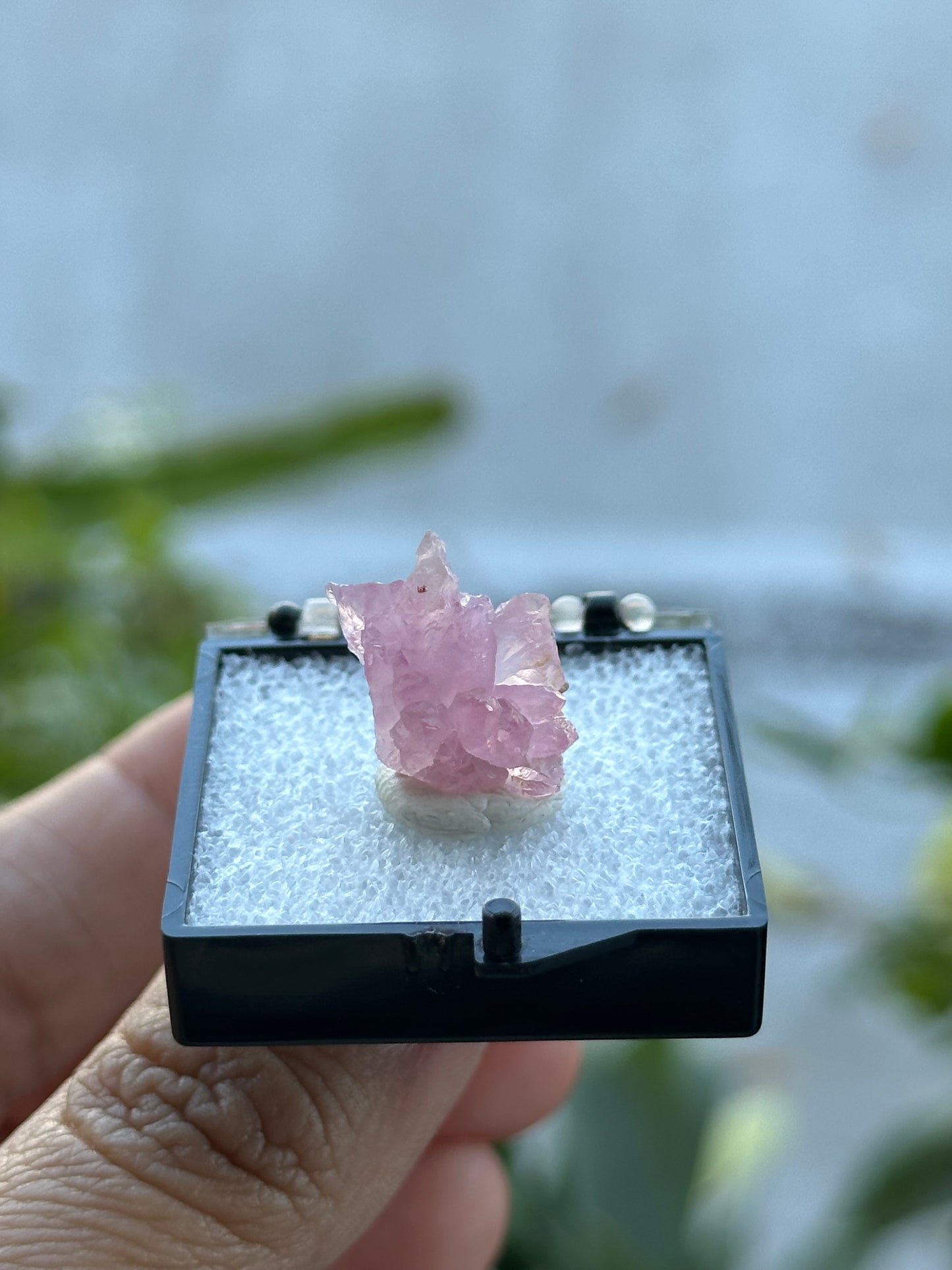 Crystallized Rose Quartz from Afghanistan