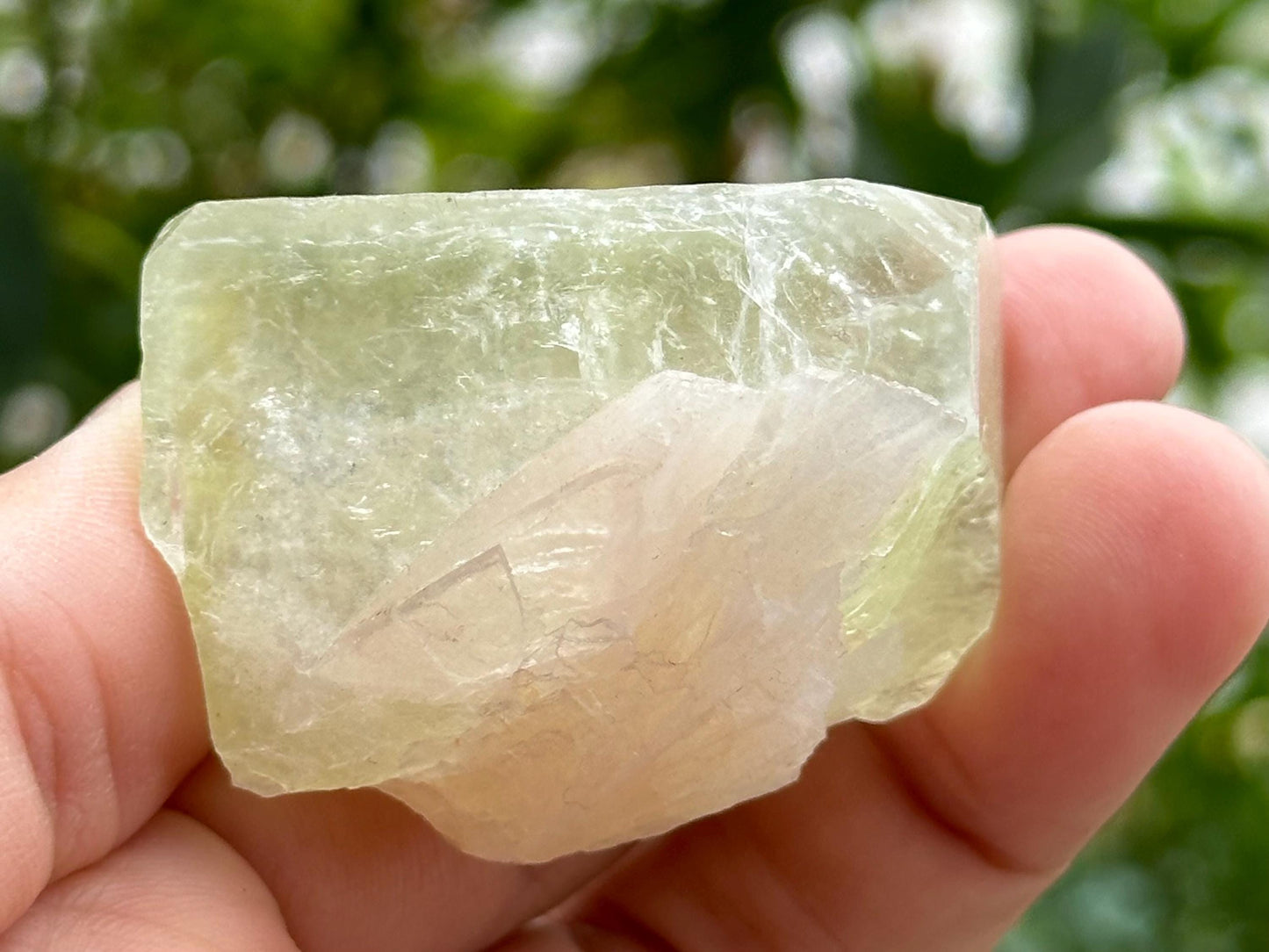 Green Apophyllite from India