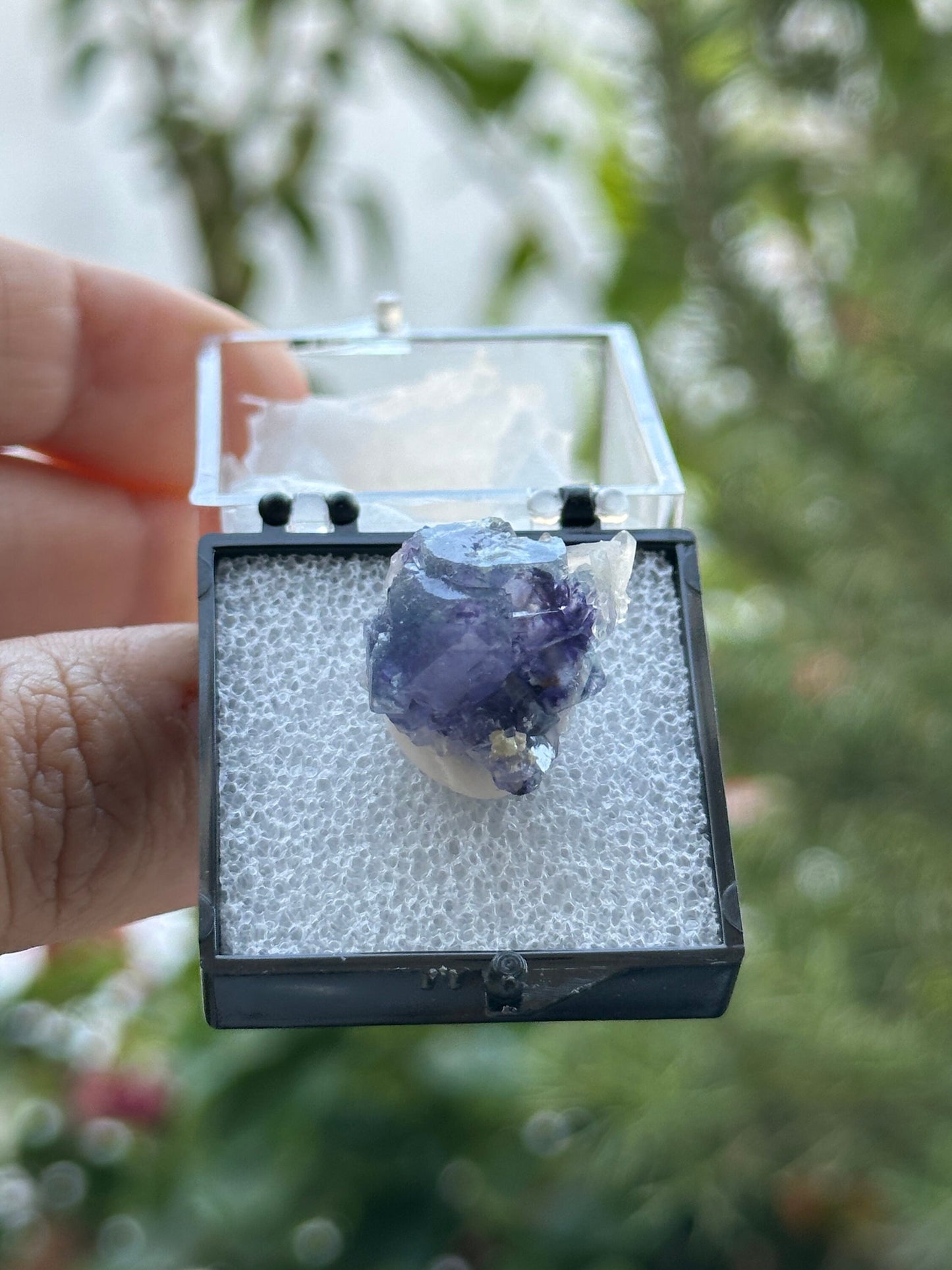 Fluorite with Quartz from the Yindu Mine