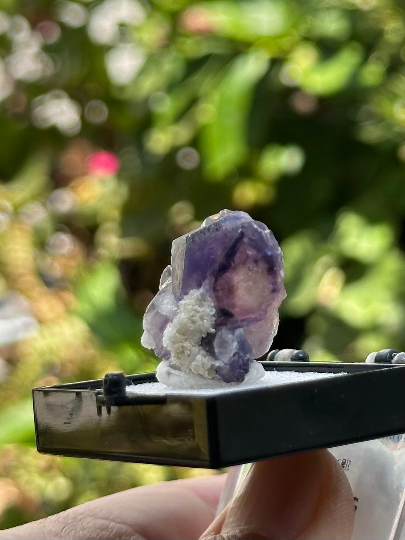 Yindu Fluorite in a perky box from Inner Mongolia, China