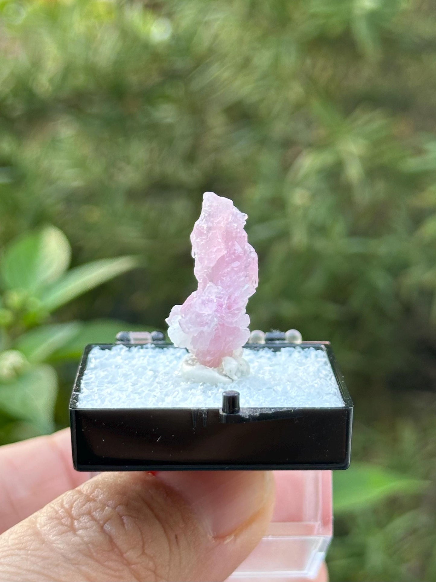 Crystallized Rose Quartz from Afghanistan