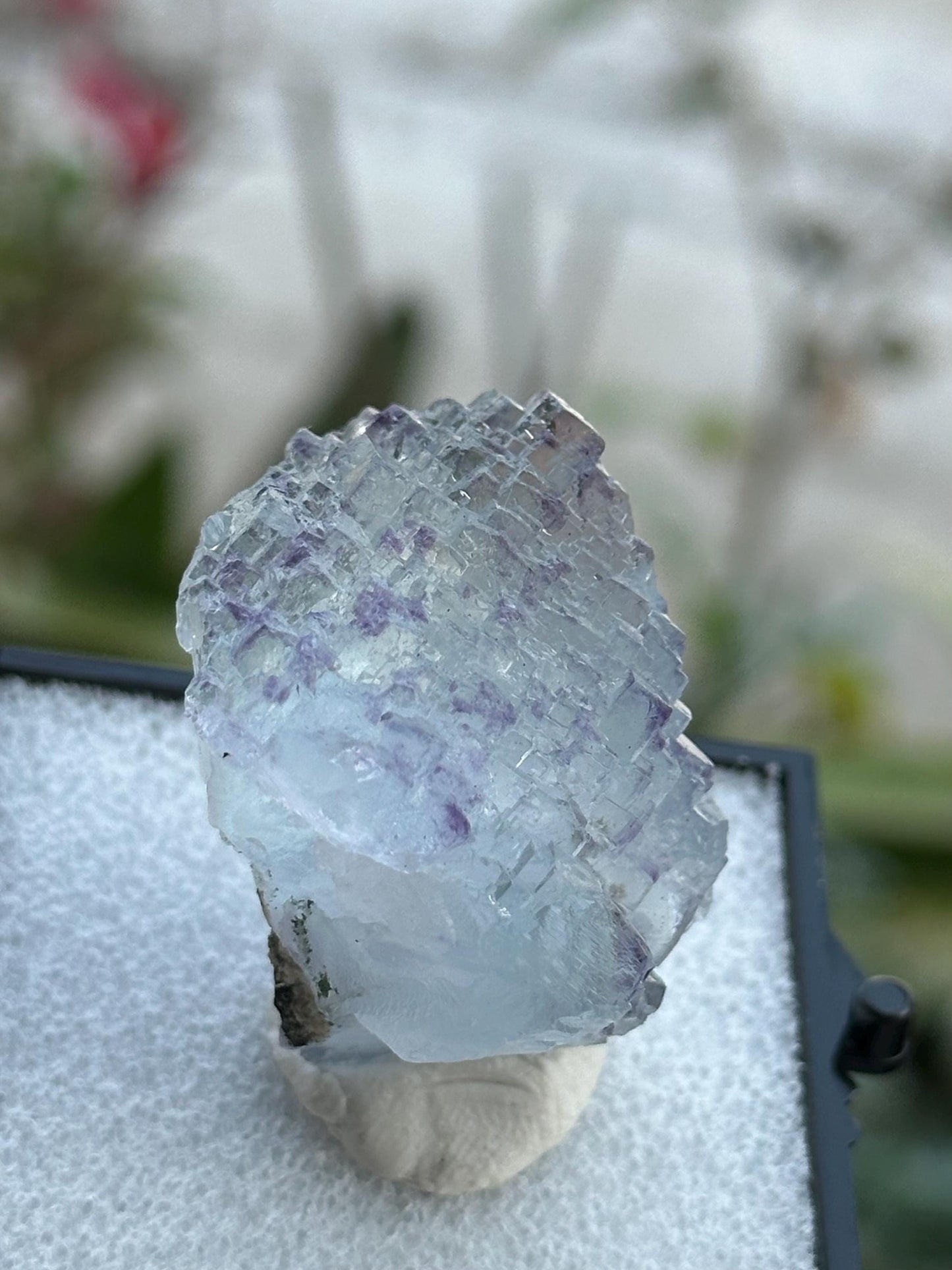 YGX Fluorite in a perky box from the Yaogangxian Mine