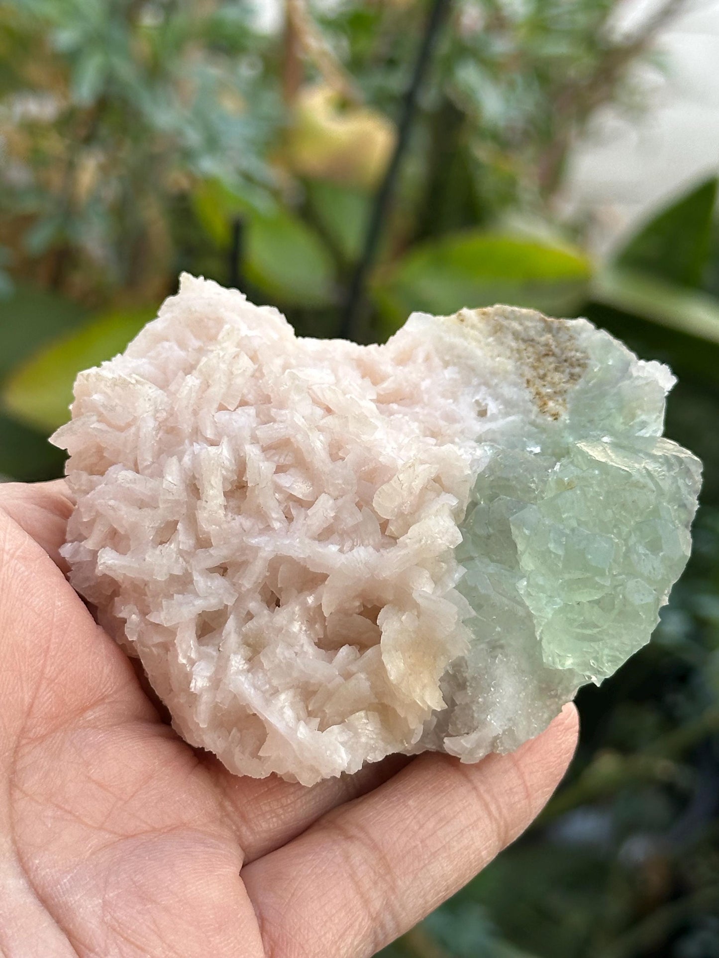 Manaoshan Fluorite with Dolomite