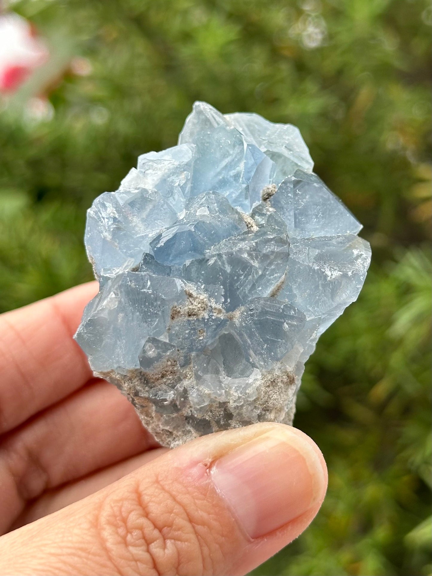 Celestite Cluster from Madagascar